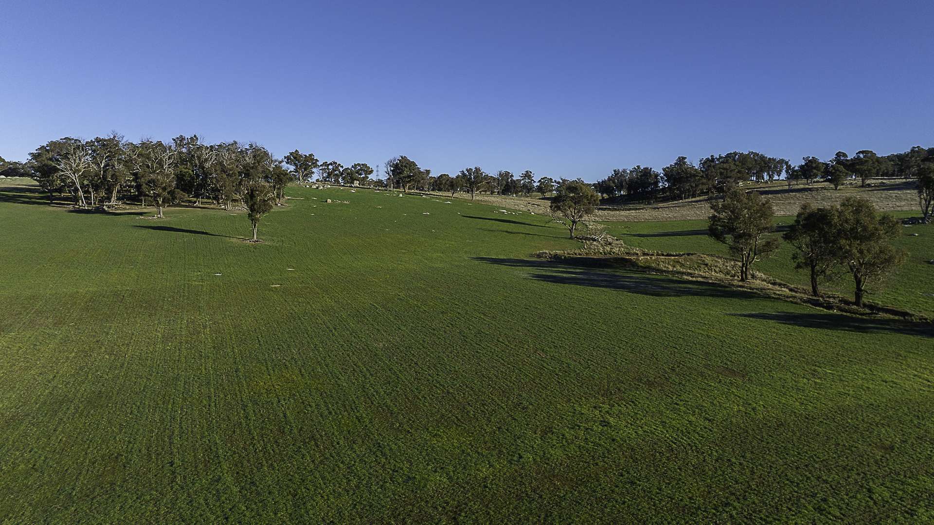 "Chippendale" 1337 Baldersleigh Road, Guyra Auction by Farmbuy.com - image 3