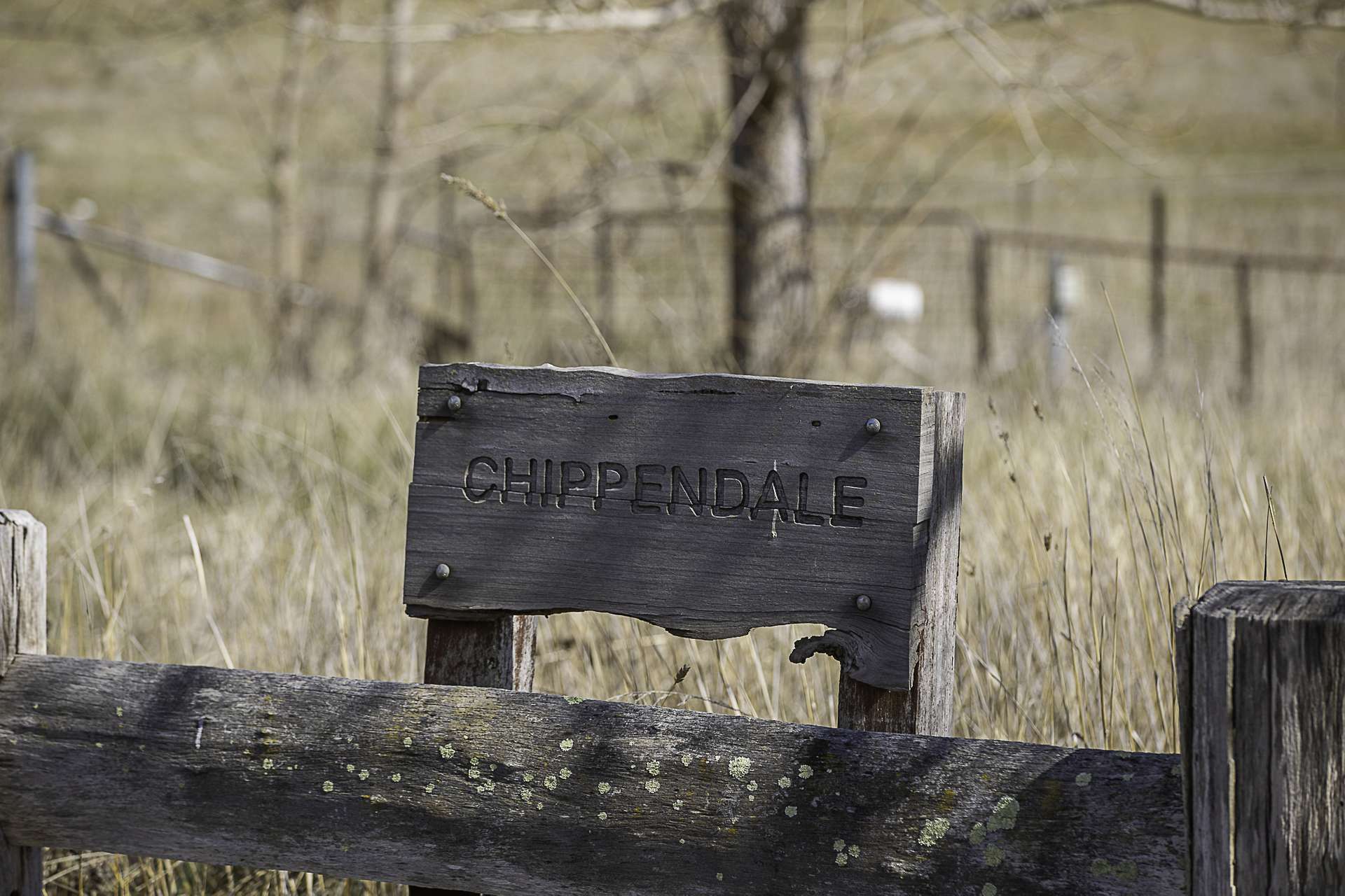 "Chippendale" 1337 Baldersleigh Road, Guyra Auction by Farmbuy.com - image 33