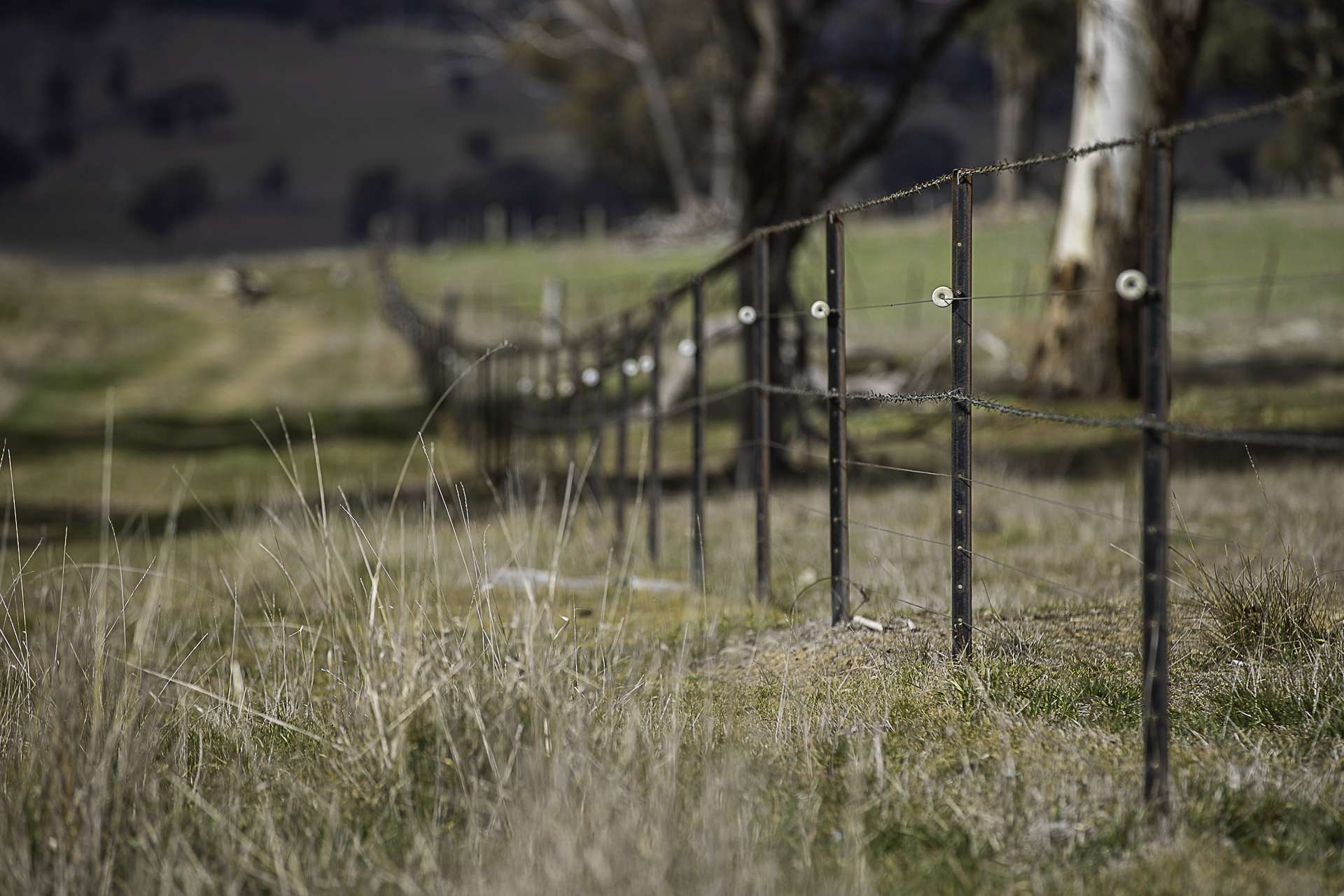 "Chippendale" 1337 Baldersleigh Road, Guyra Auction by Farmbuy.com - image 28