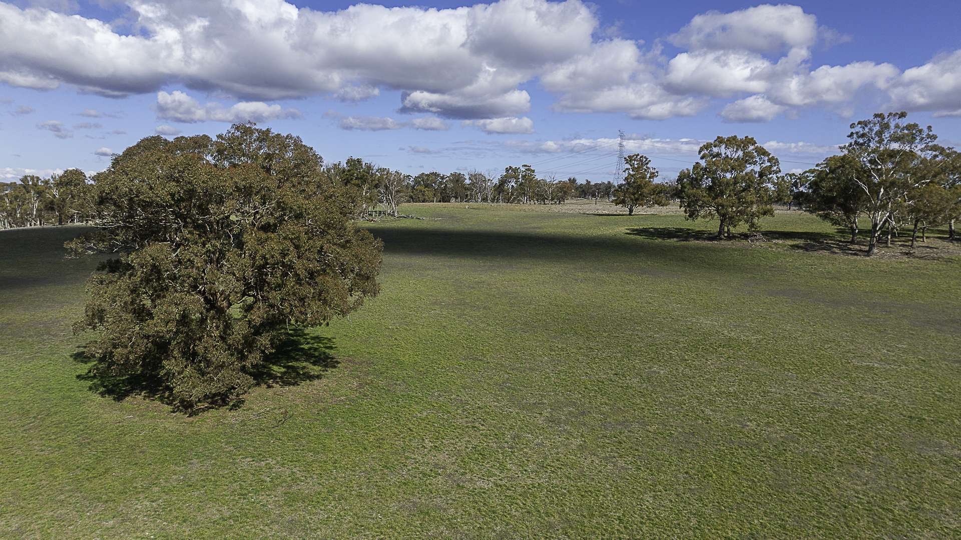 "Chippendale" 1337 Baldersleigh Road, Guyra Auction by Farmbuy.com - image 14