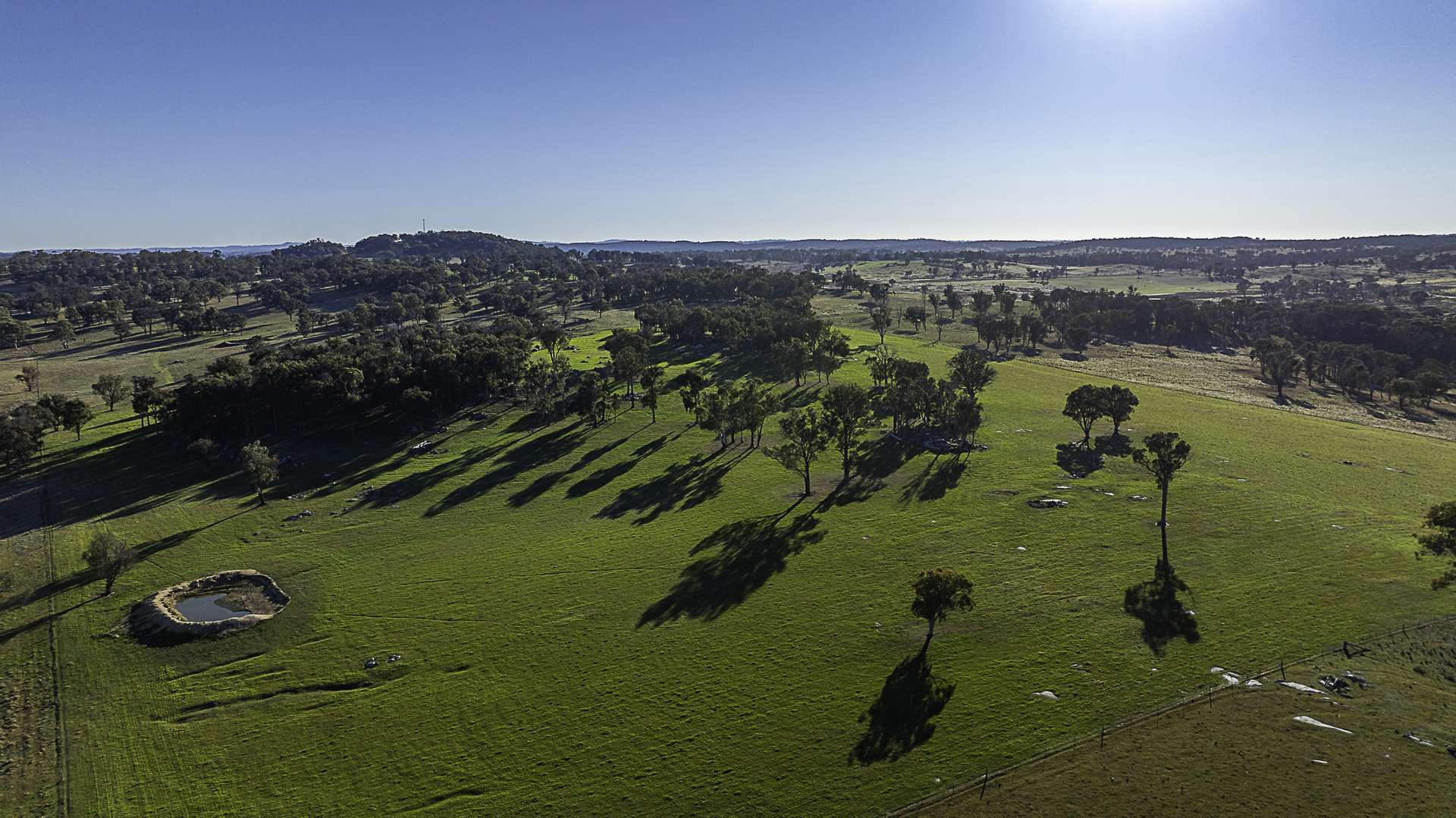 "Chippendale" 1337 Baldersleigh Road, Guyra Auction by Farmbuy.com - image 2
