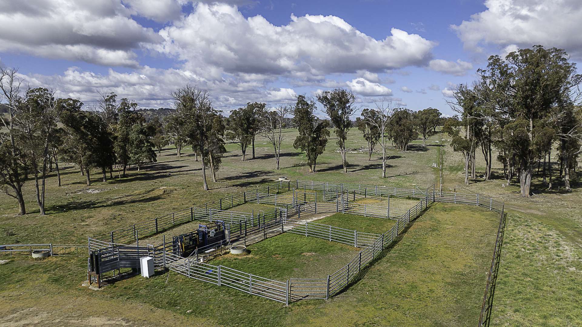 "Chippendale" 1337 Baldersleigh Road, Guyra Auction by Farmbuy.com - image 5
