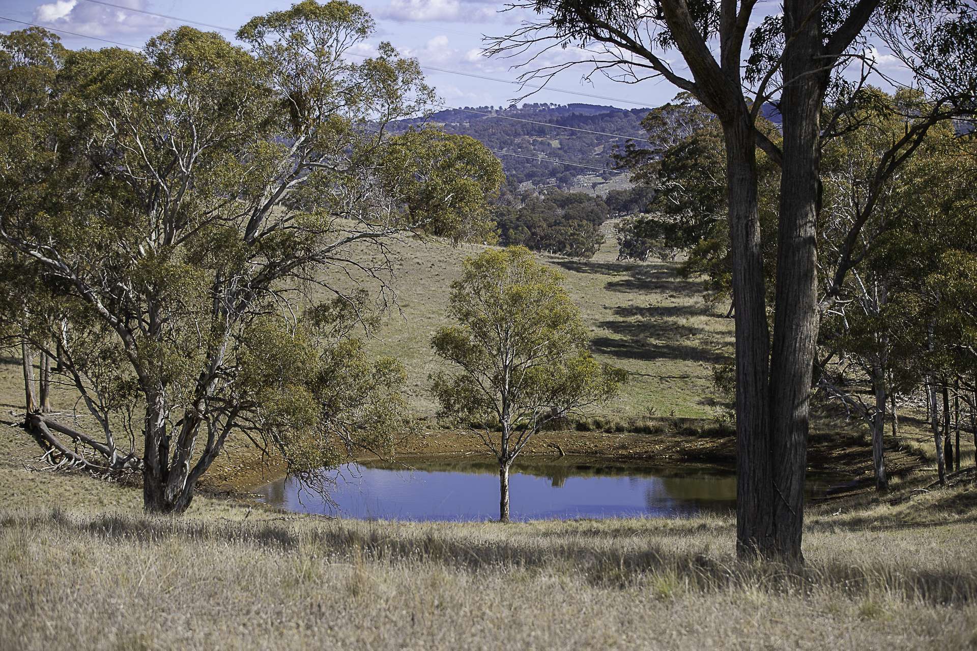 "Chippendale" 1337 Baldersleigh Road, Guyra Auction by Farmbuy.com - image 25
