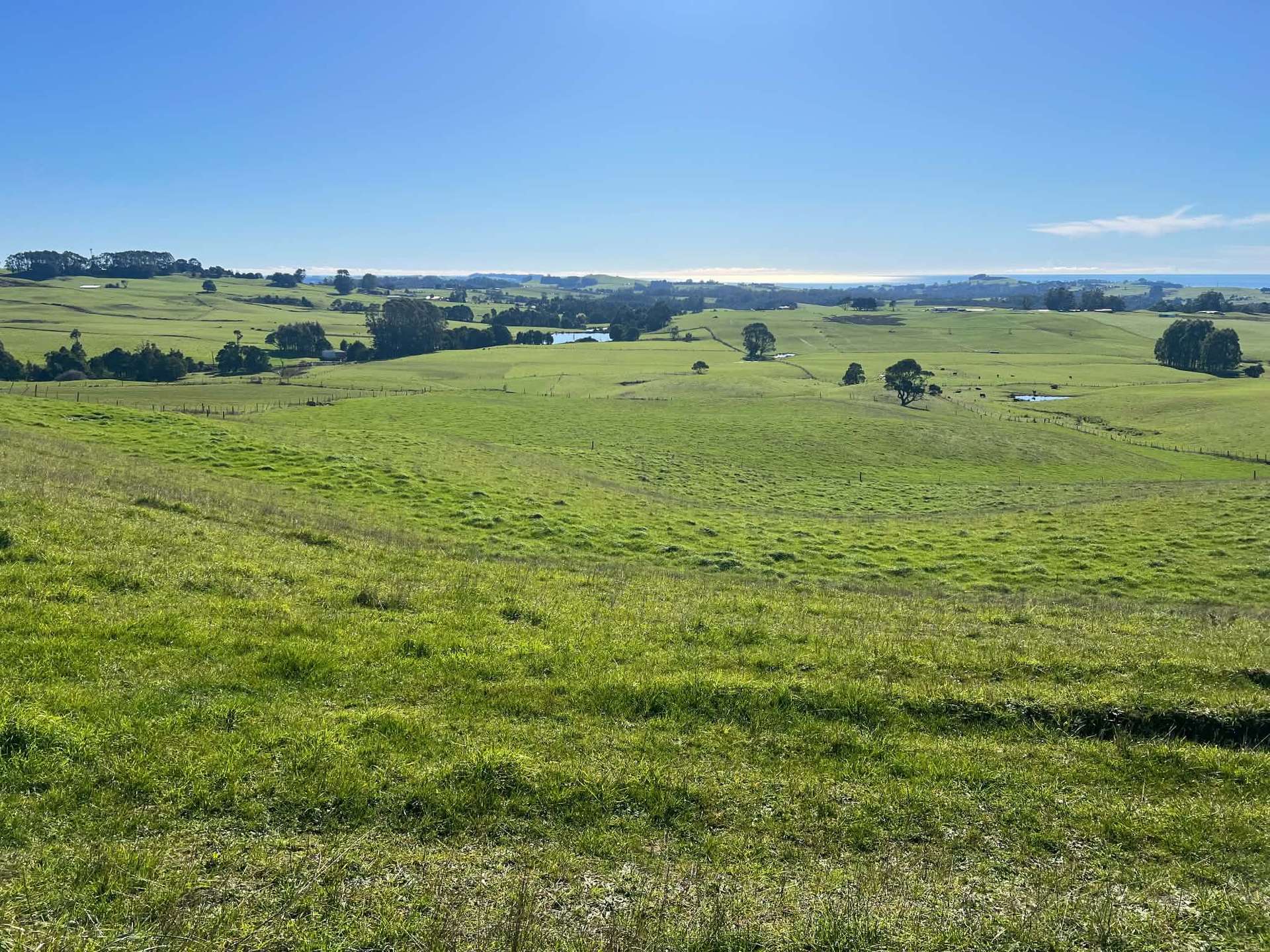 1373 Mount Hicks Road, Mount Hicks For Sale by Farmbuy.com - image 4