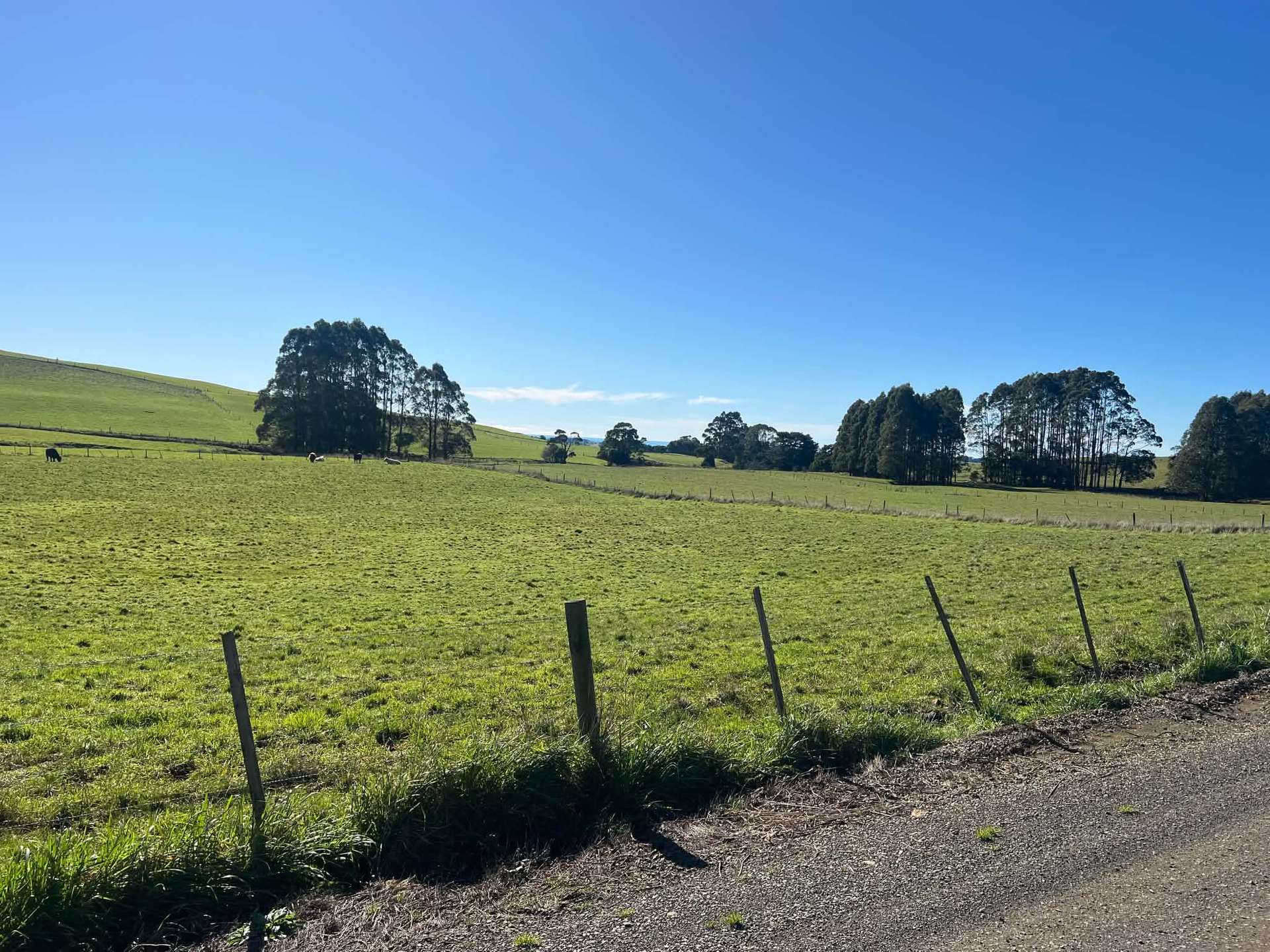 1373 Mount Hicks Road, Mount Hicks For Sale by Farmbuy.com - image 12