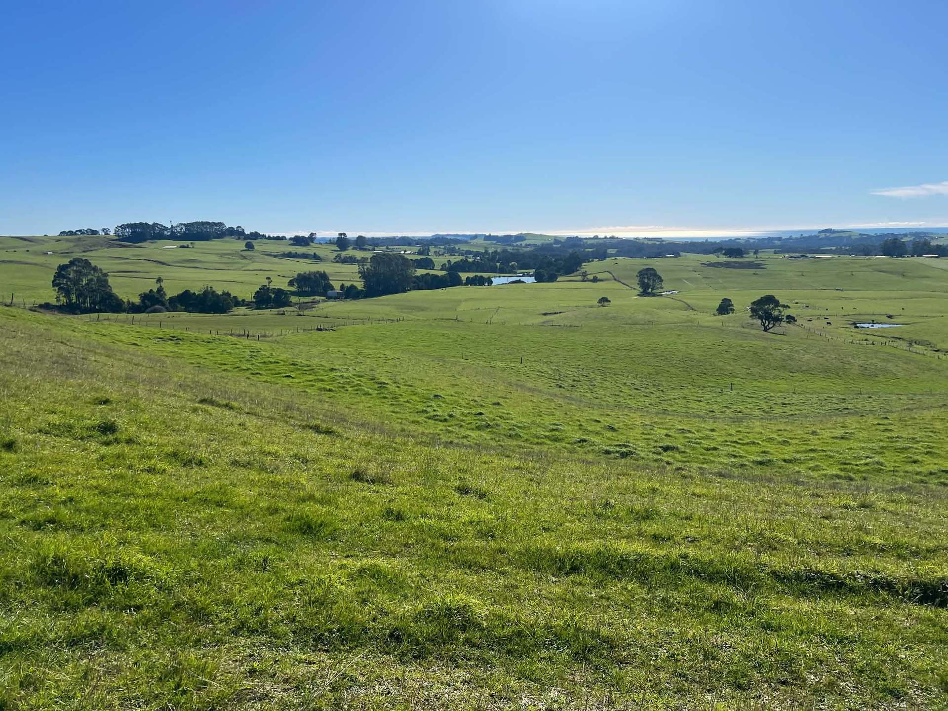 1373 Mount Hicks Road, Mount Hicks For Sale by Farmbuy.com - image 3