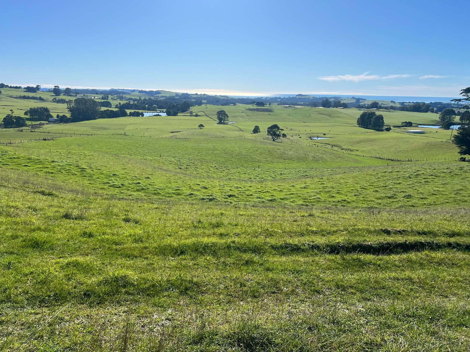 1373 Mount Hicks Road, Mount Hicks For Sale by Farmbuy.com - image 5
