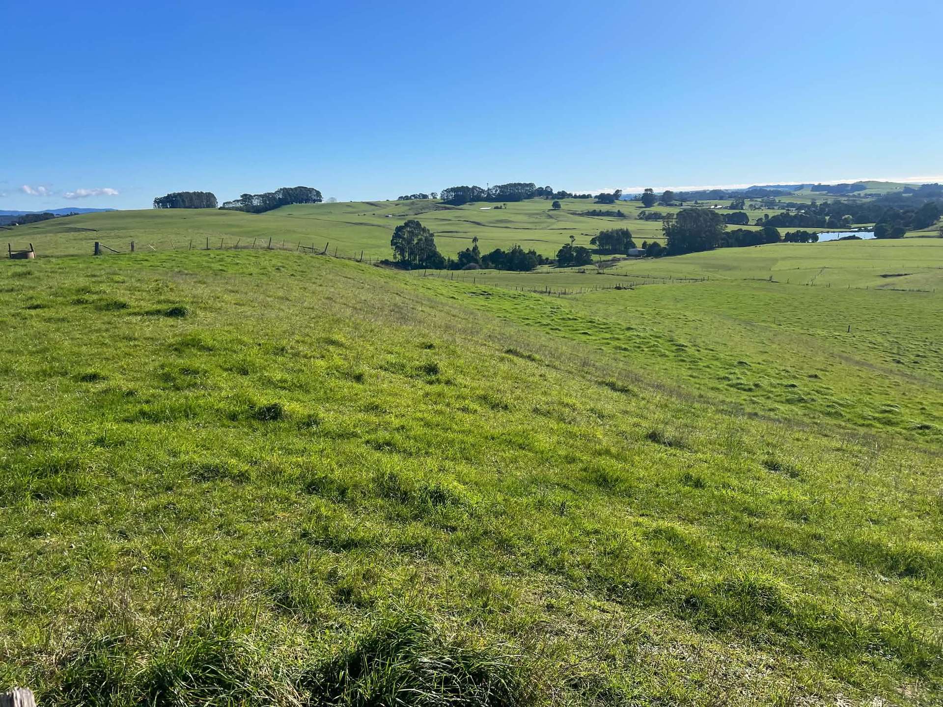 1373 Mount Hicks Road, Mount Hicks For Sale by Farmbuy.com - image 2