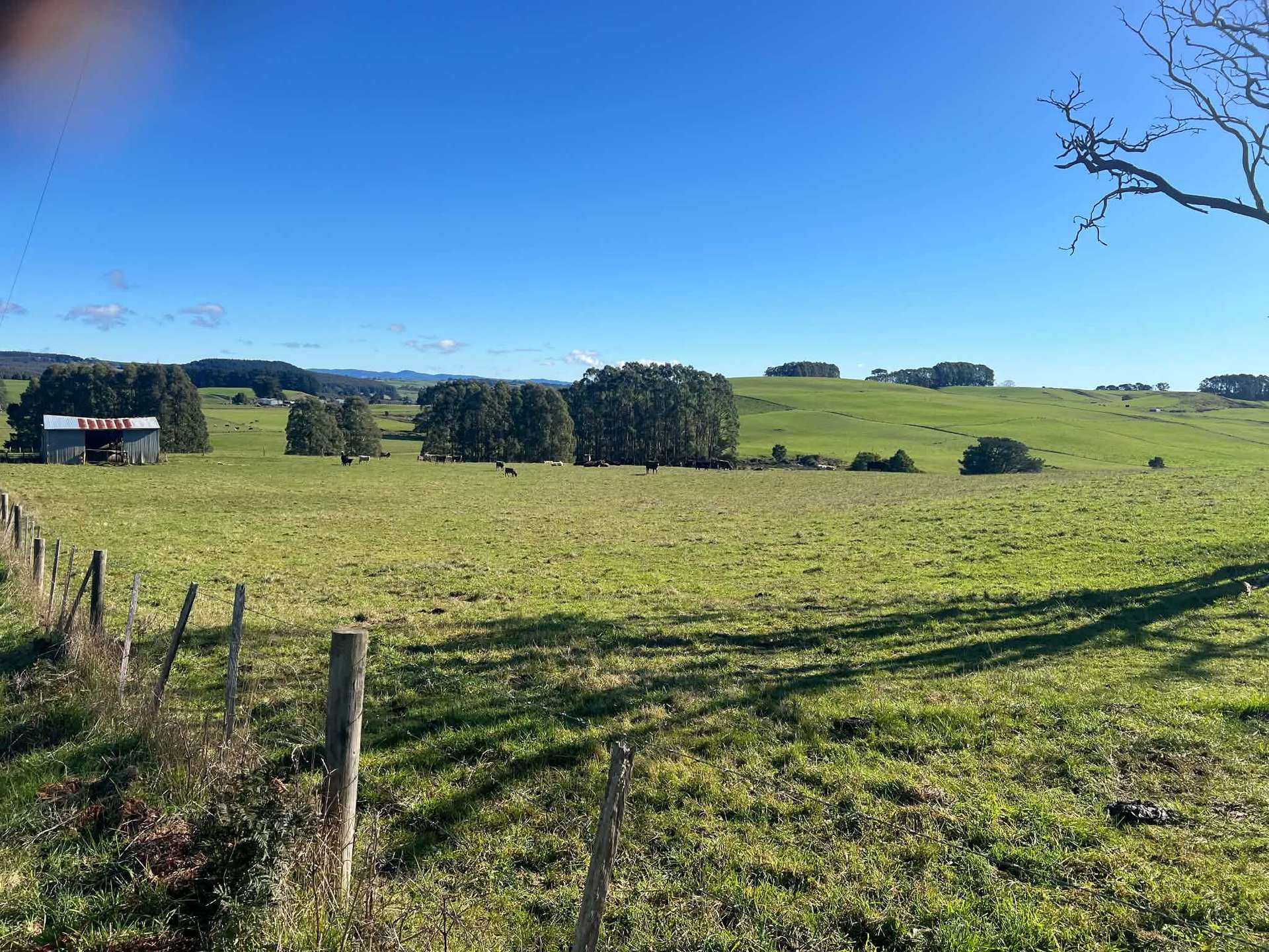 1373 Mount Hicks Road, Mount Hicks For Sale by Farmbuy.com - image 6