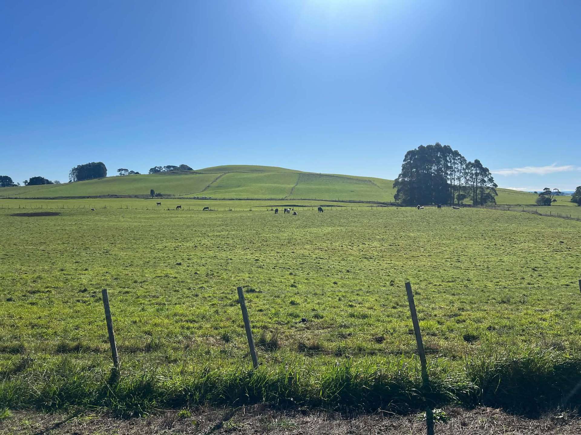 1373 Mount Hicks Road, Mount Hicks For Sale by Farmbuy.com - image 11
