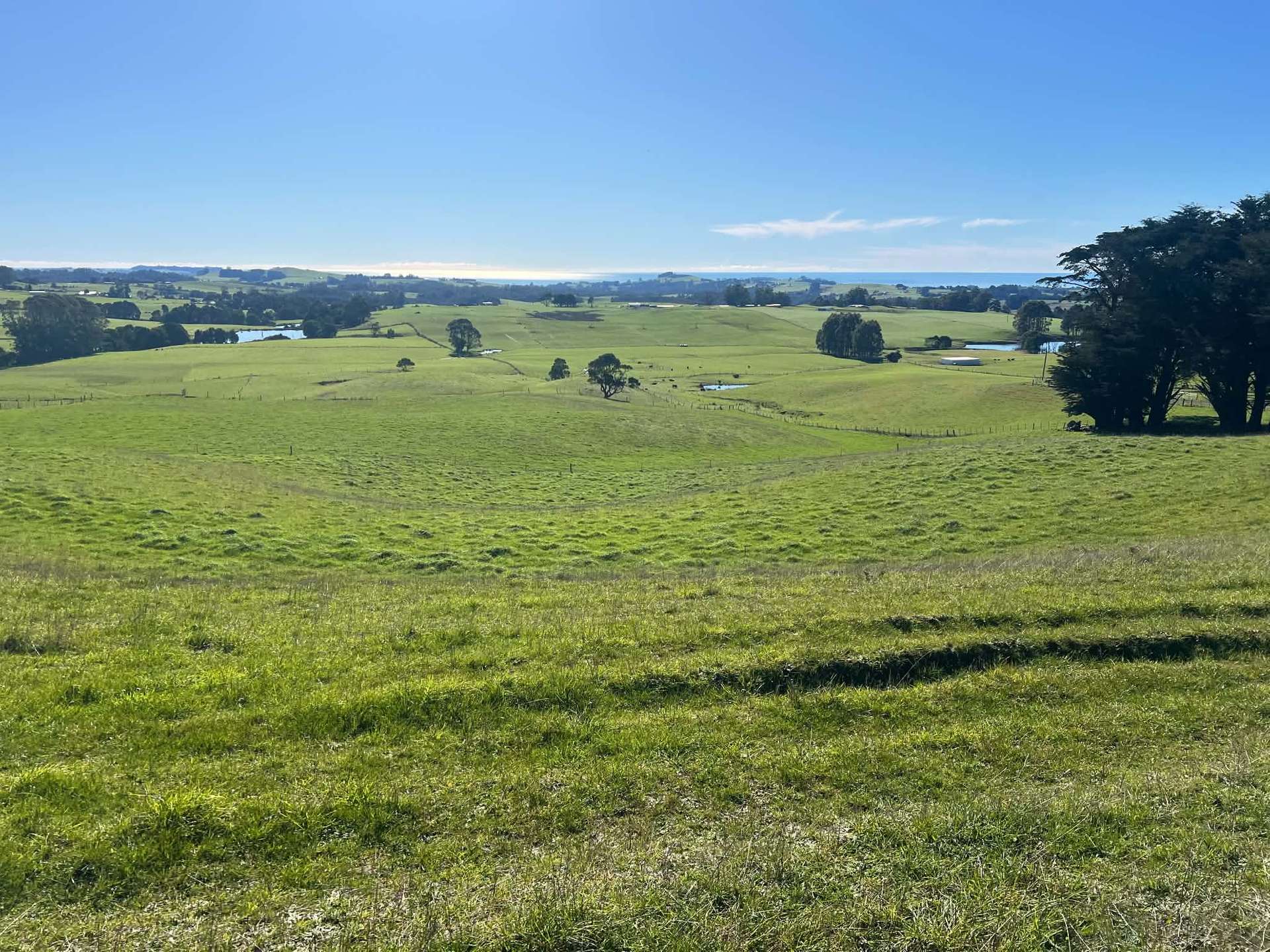 1373 Mount Hicks Road, Mount Hicks For Sale by Farmbuy.com - image 1