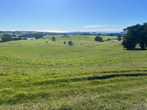 Farm For Sale - TAS - Mount Hicks - 7325 - Quality cropping/grazing farm 