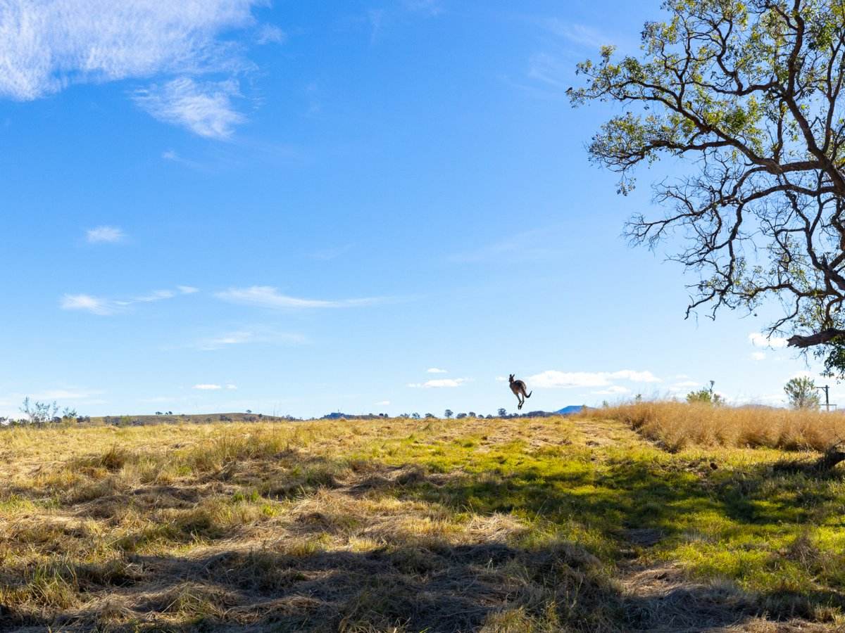 Lot 2 Grevillea Heights Road, Bega For Sale by Farmbuy.com - image 8