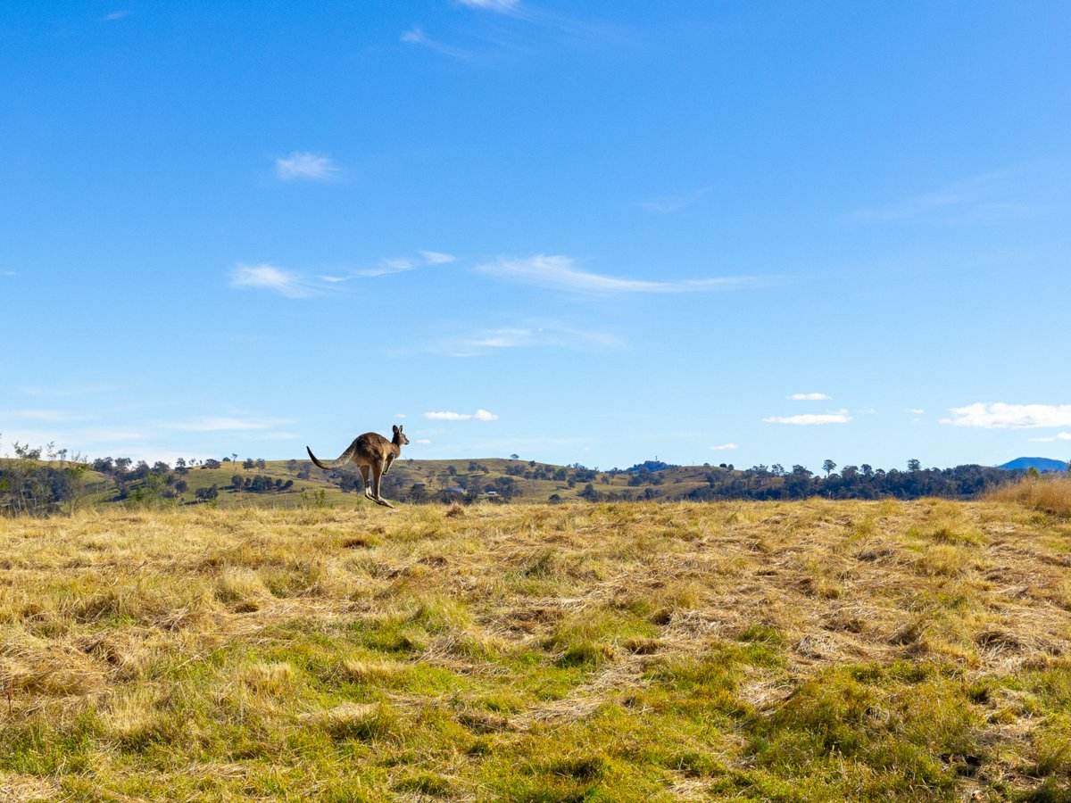 Lot 2 Grevillea Heights Road, Bega For Sale by Farmbuy.com - image 7