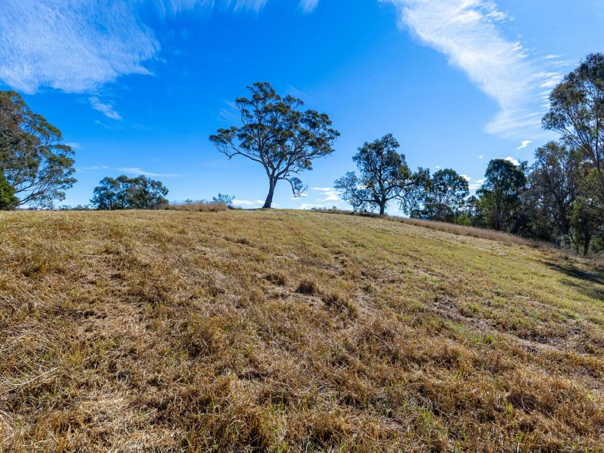 Lot 2 Grevillea Heights Road, Bega For Sale by Farmbuy.com - image 17
