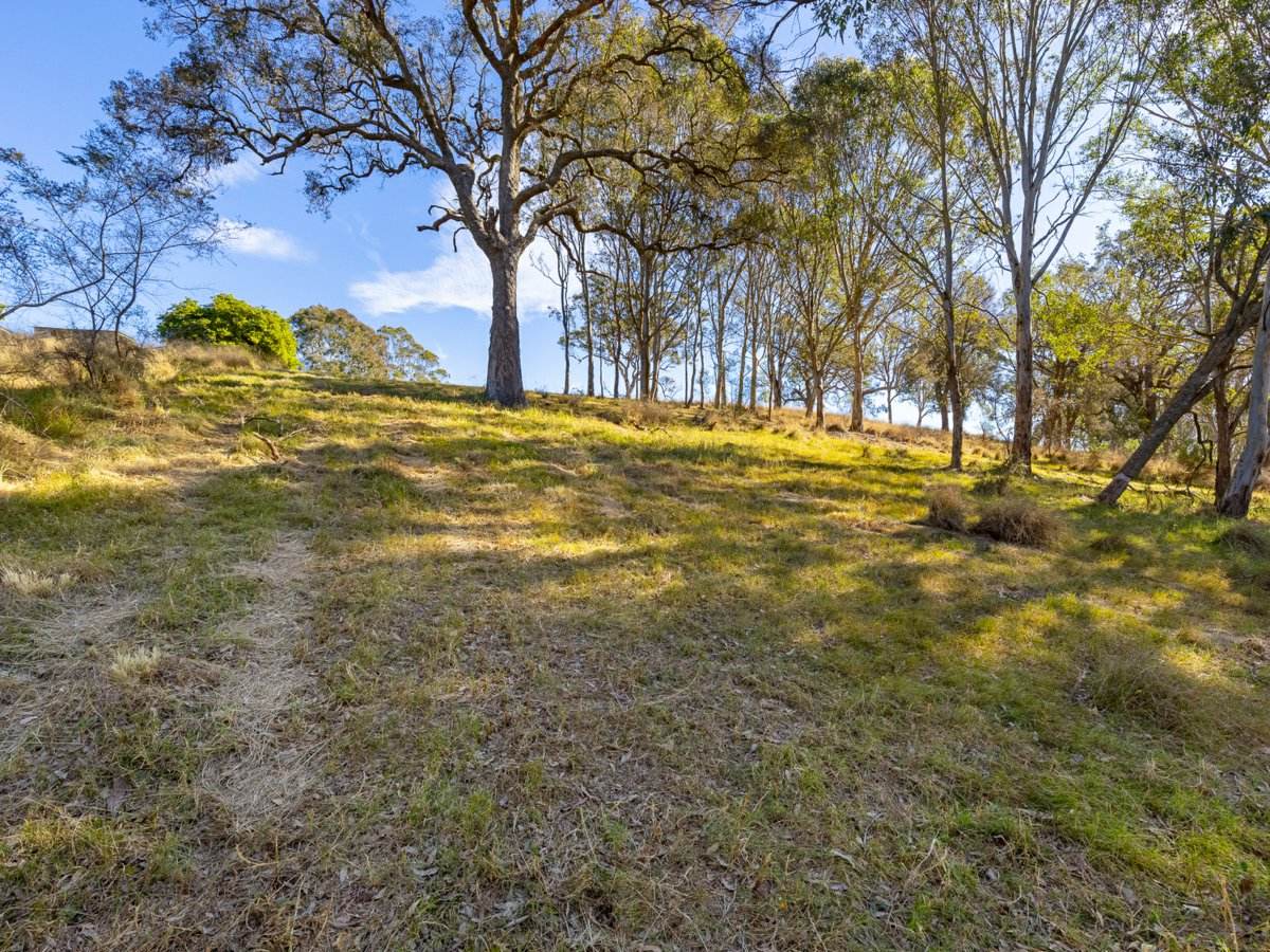 Lot 2 Grevillea Heights Road, Bega For Sale by Farmbuy.com - image 16