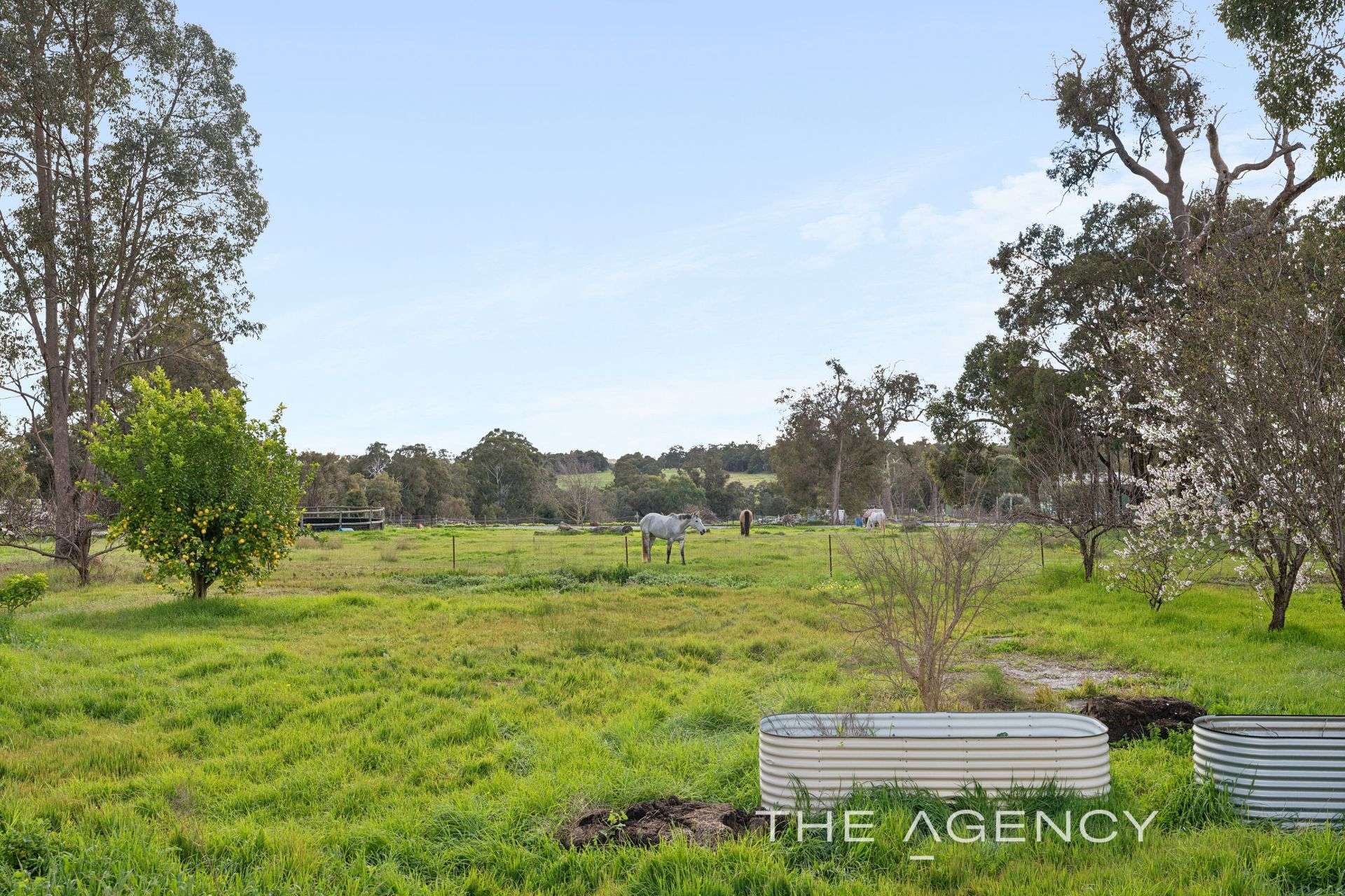 16 Strawberry Hill Drive, Gidgegannup For Sale by Farmbuy.com - image 30