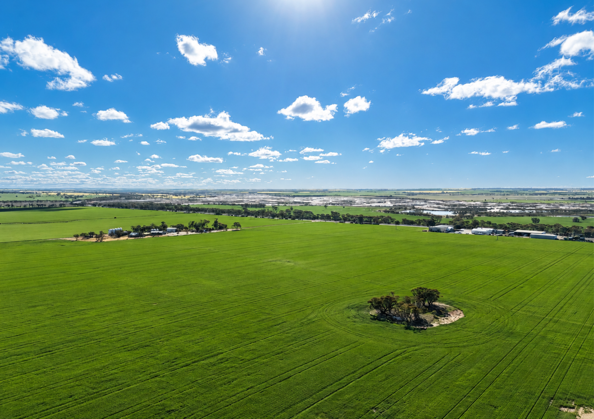 1 - 7 Watts, Cunderdin For Sale by Farmbuy.com - image 14