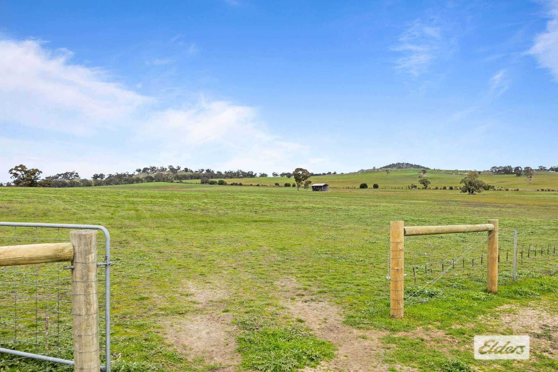 Lot 24A,  Graces Hill Road, Great Western For Sale by Farmbuy.com - image 5