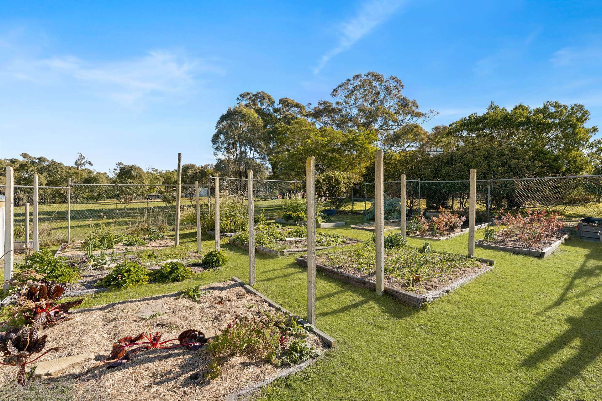 1910 Range Road, Mummel Via, Goulburn Auction by Farmbuy.com - image 22
