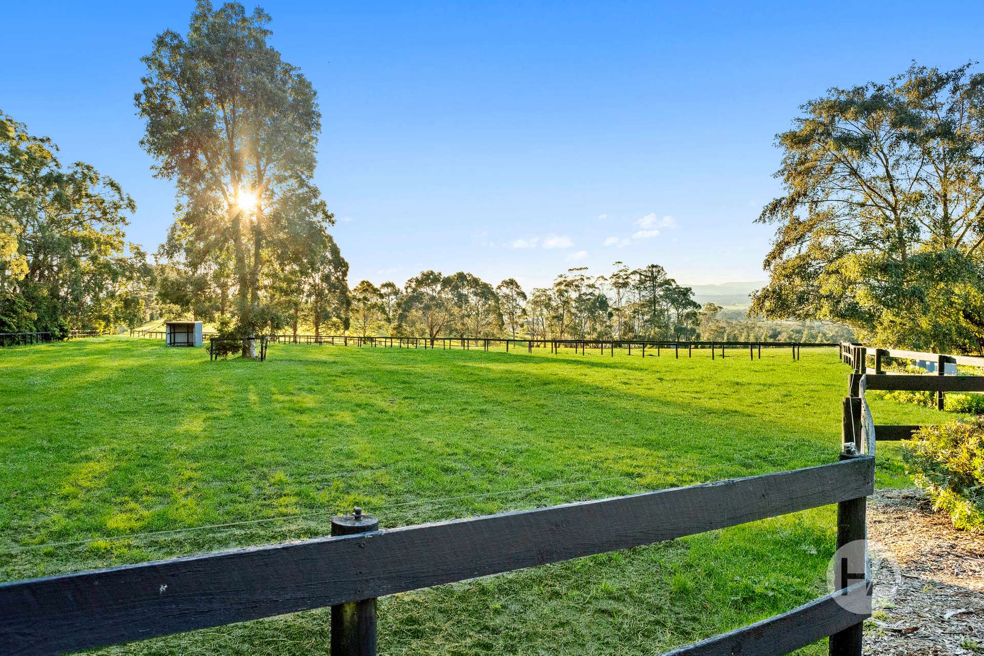 555 Coster Road, Ripplebrook For Sale by Farmbuy.com - image 19