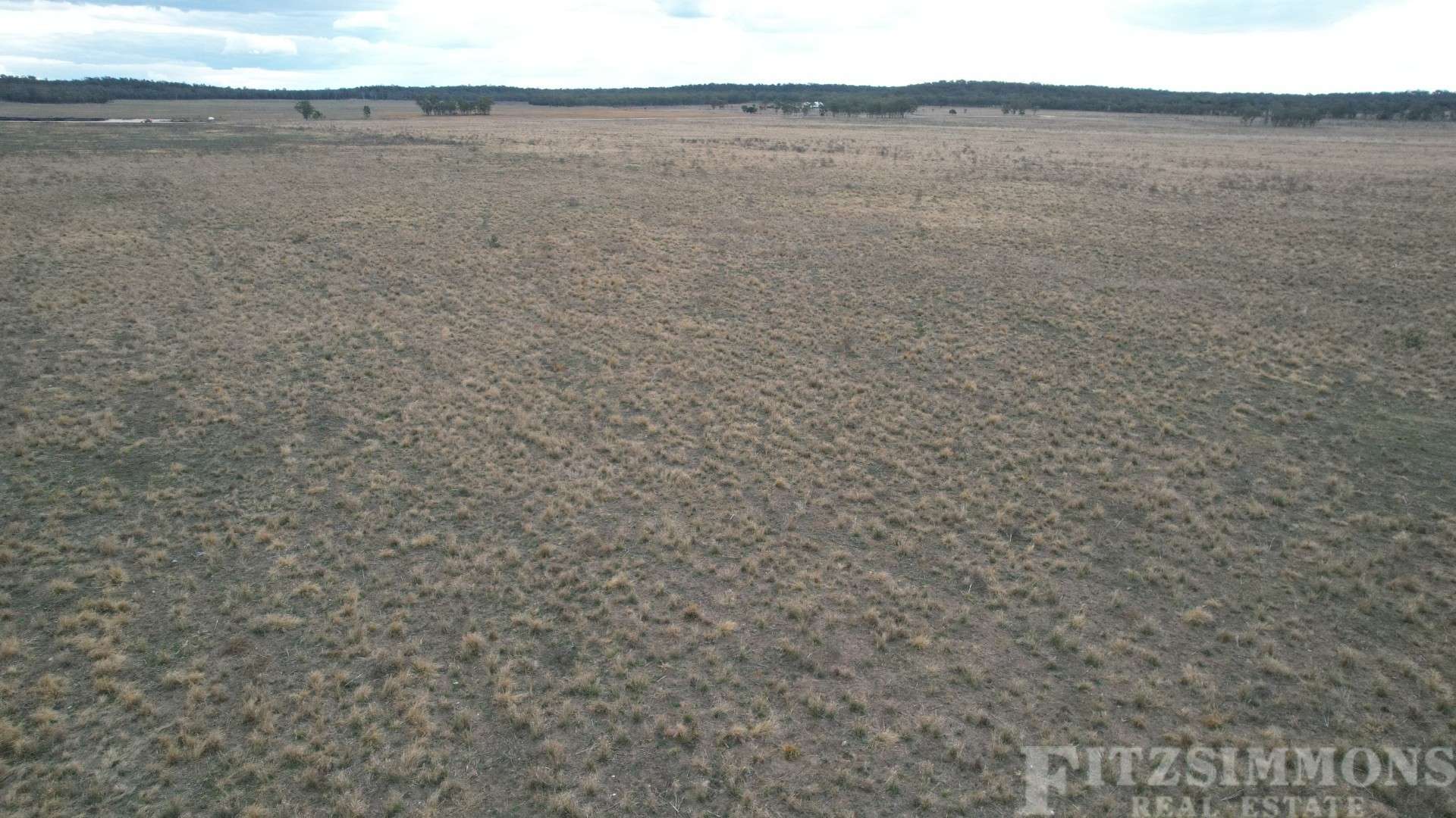 991 Cecil Plains - Moonie Road, Cecil Plains For Sale by Farmbuy.com - image 15