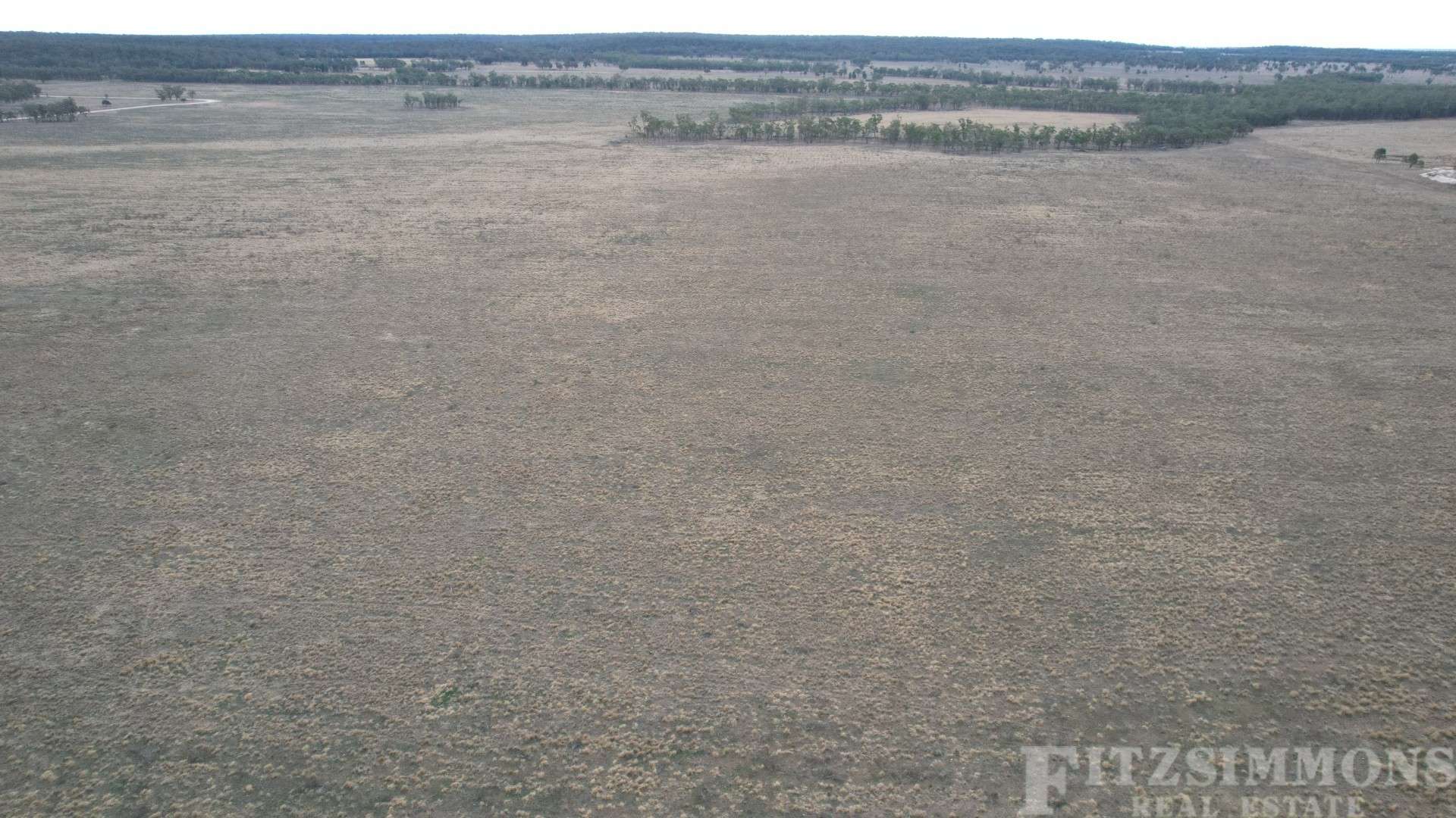 991 Cecil Plains - Moonie Road, Cecil Plains For Sale by Farmbuy.com - image 8