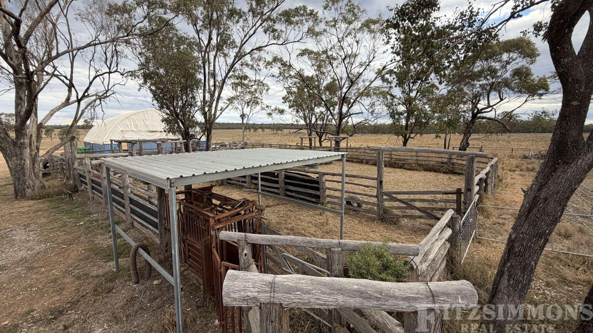 991 Cecil Plains - Moonie Road, Cecil Plains For Sale by Farmbuy.com - image 19