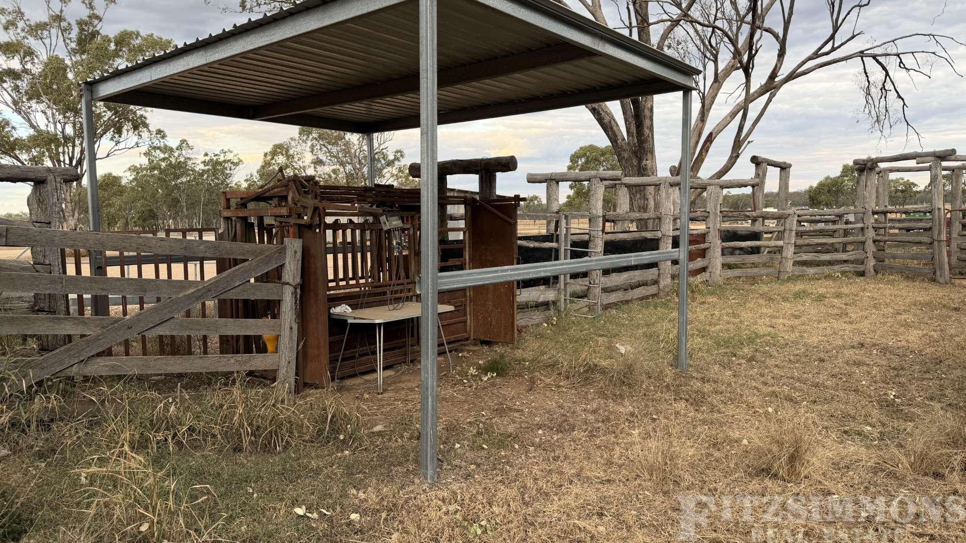 991 Cecil Plains - Moonie Road, Cecil Plains For Sale by Farmbuy.com - image 21
