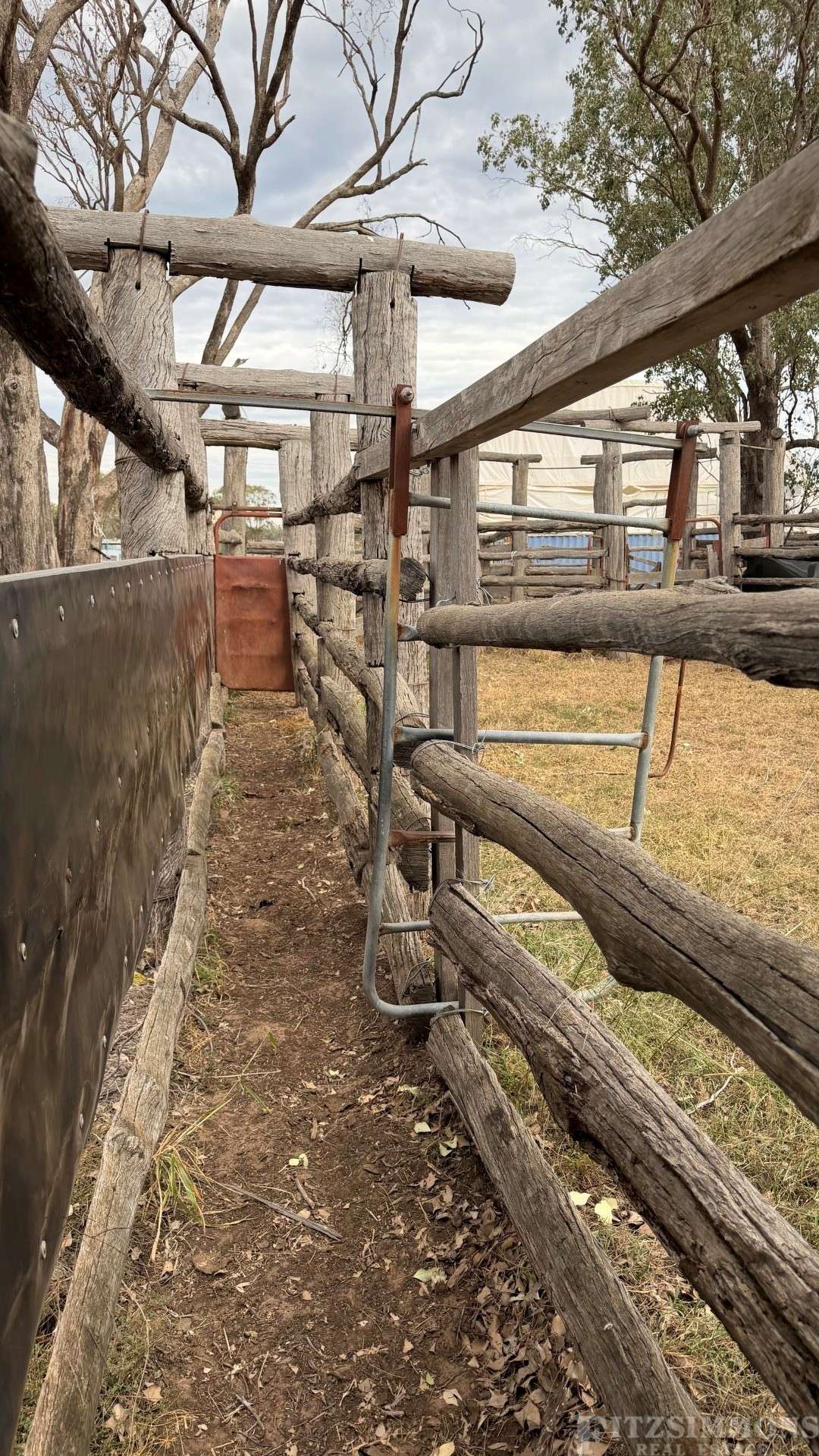 991 Cecil Plains - Moonie Road, Cecil Plains For Sale by Farmbuy.com - image 22