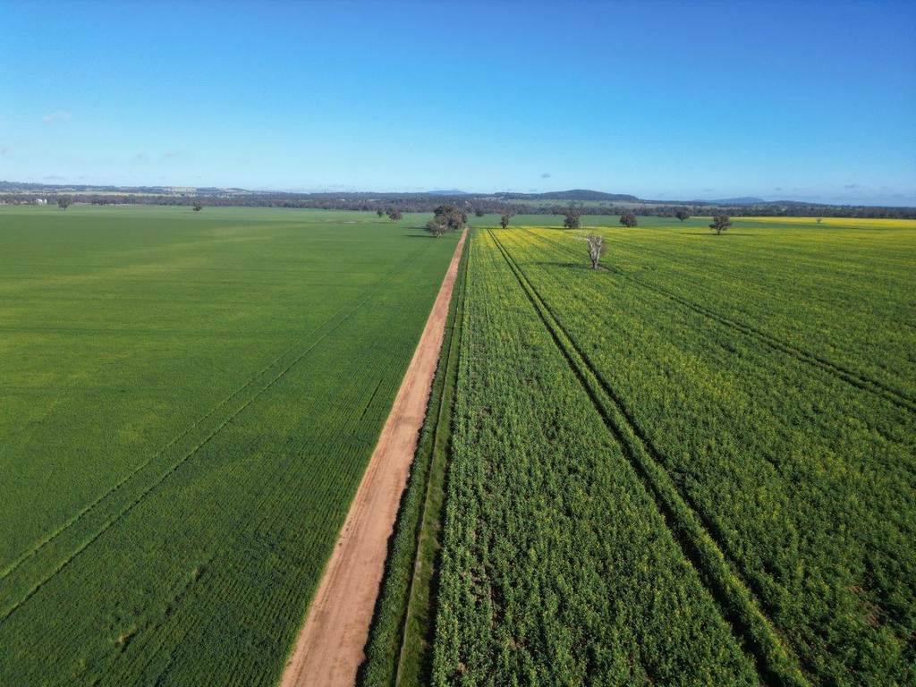 Glenelg 1190 Henry Lawson Way, Grenfell NSW 2810