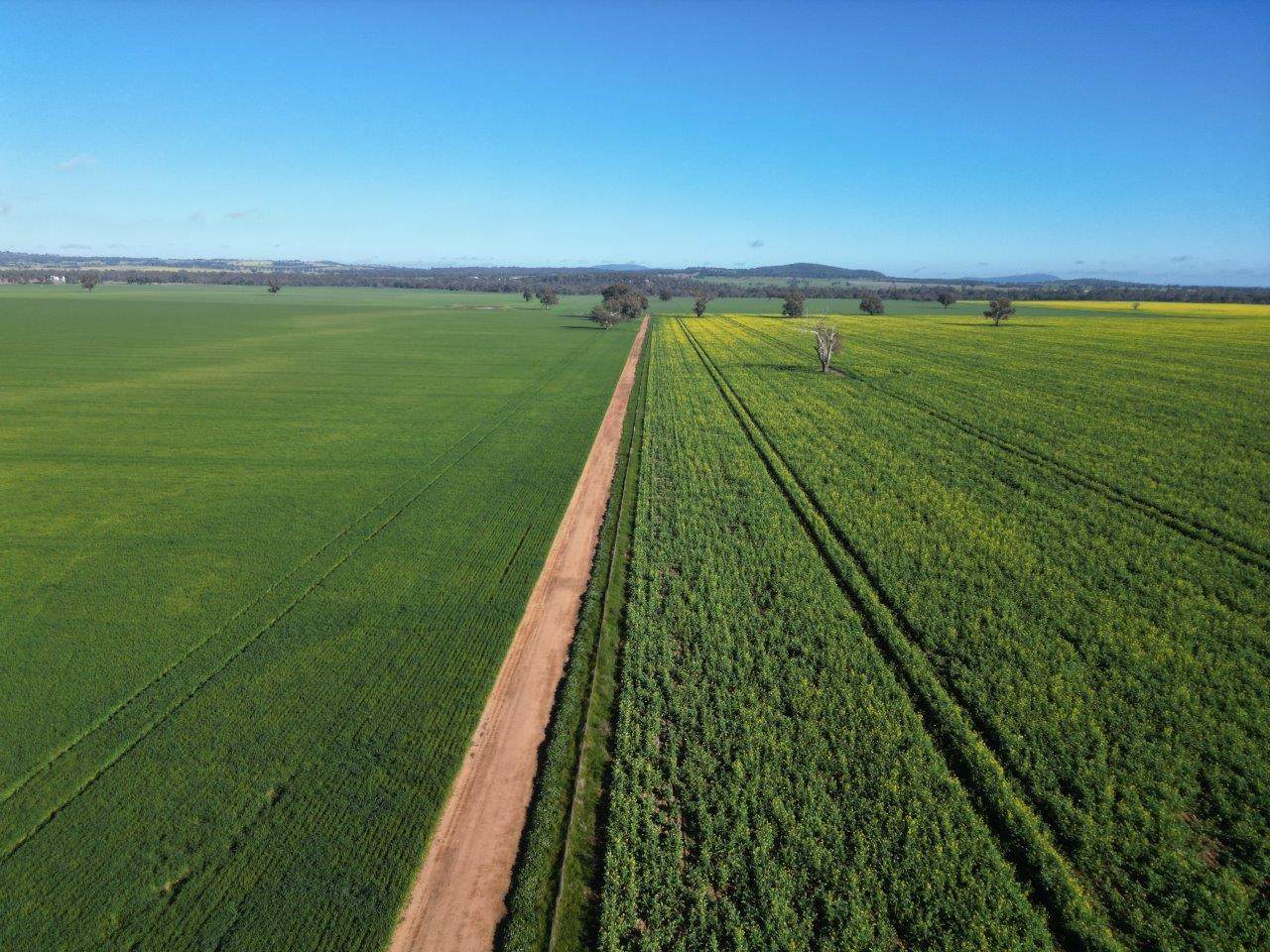 Glenelg 1190 Henry Lawson Way, Grenfell For Sale by Farmbuy.com - image 1