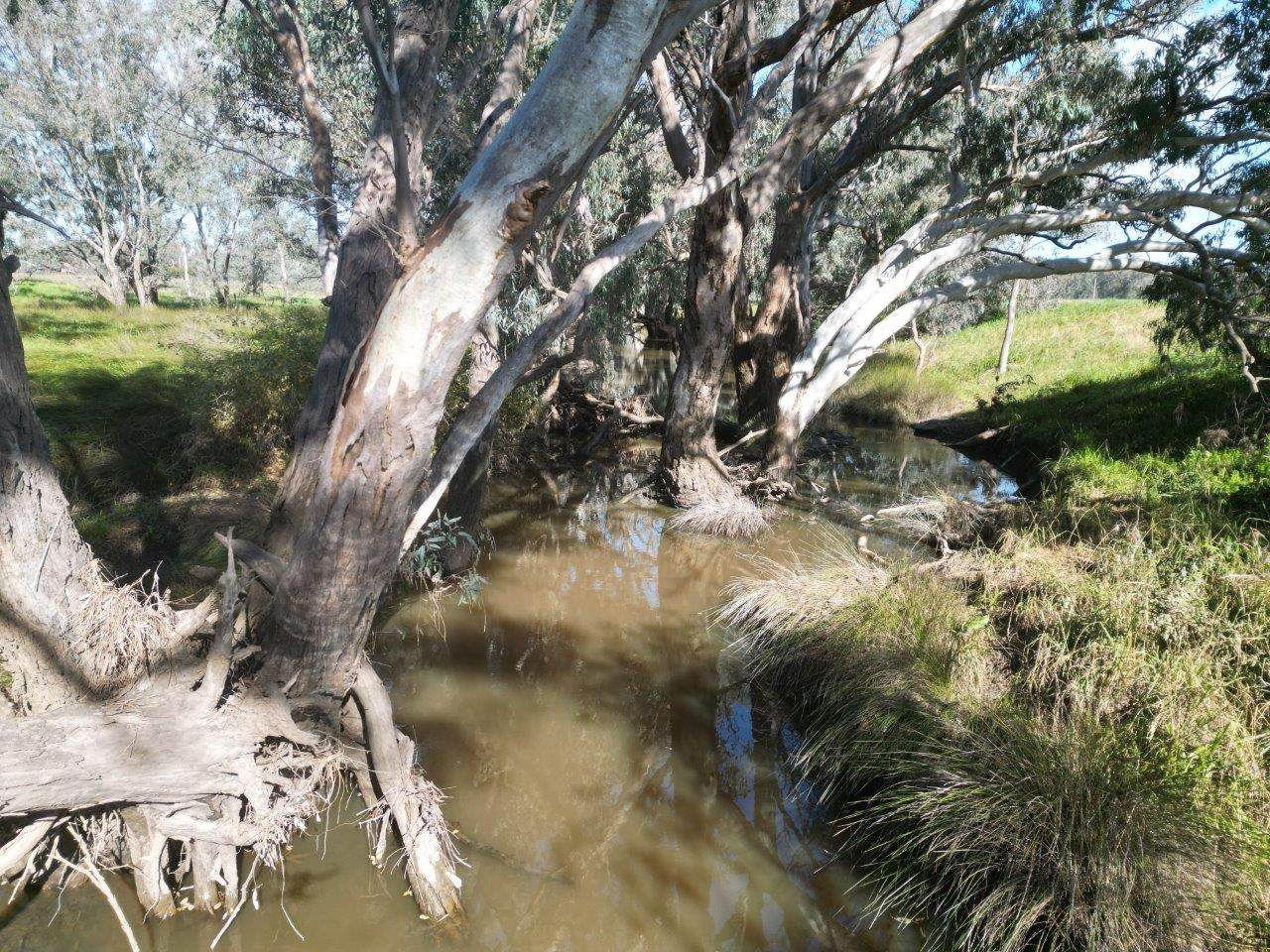 Glenelg 1190 Henry Lawson Way, Grenfell For Sale by Farmbuy.com - image 3