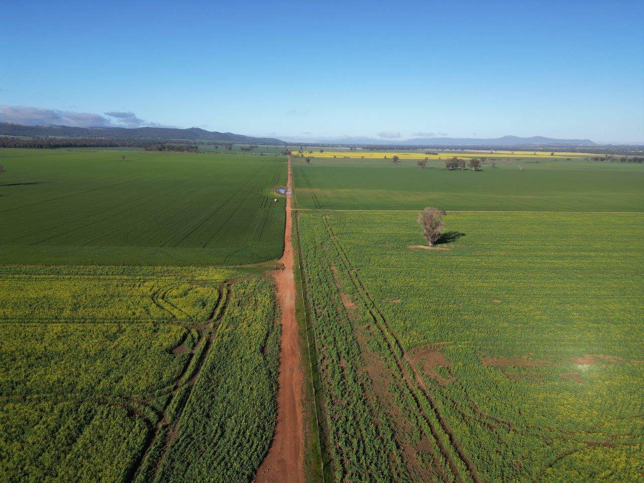 Glenelg 1190 Henry Lawson Way, Grenfell For Sale by Farmbuy.com - image 10