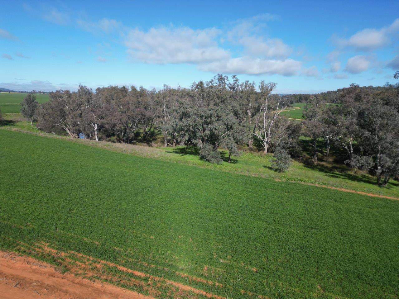 Glenelg 1190 Henry Lawson Way, Grenfell For Sale by Farmbuy.com - image 7
