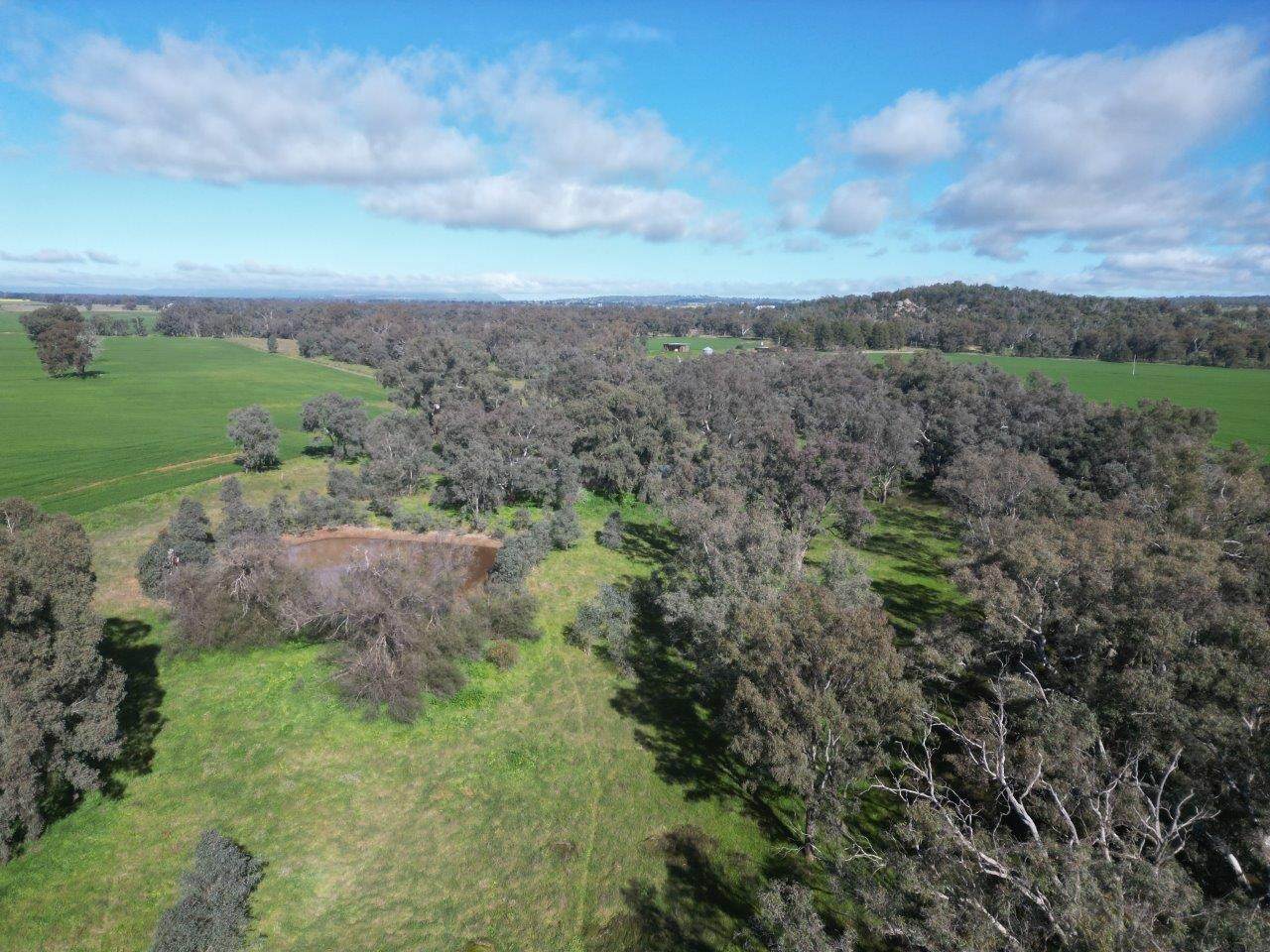 Glenelg 1190 Henry Lawson Way, Grenfell For Sale by Farmbuy.com - image 8