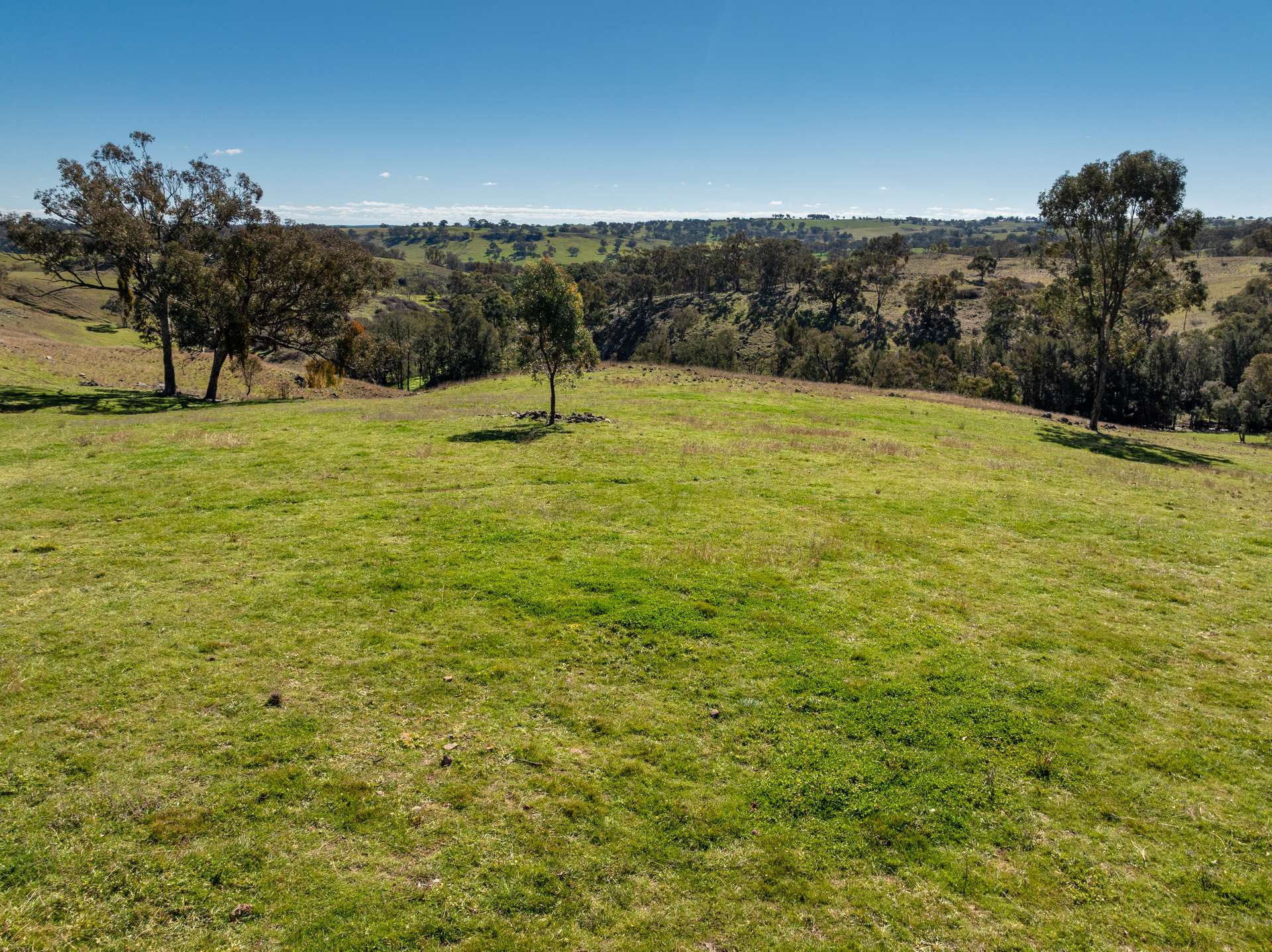 'Wahroonga' 2235 The Escort Way,, Orange Auction by Farmbuy.com - image 4