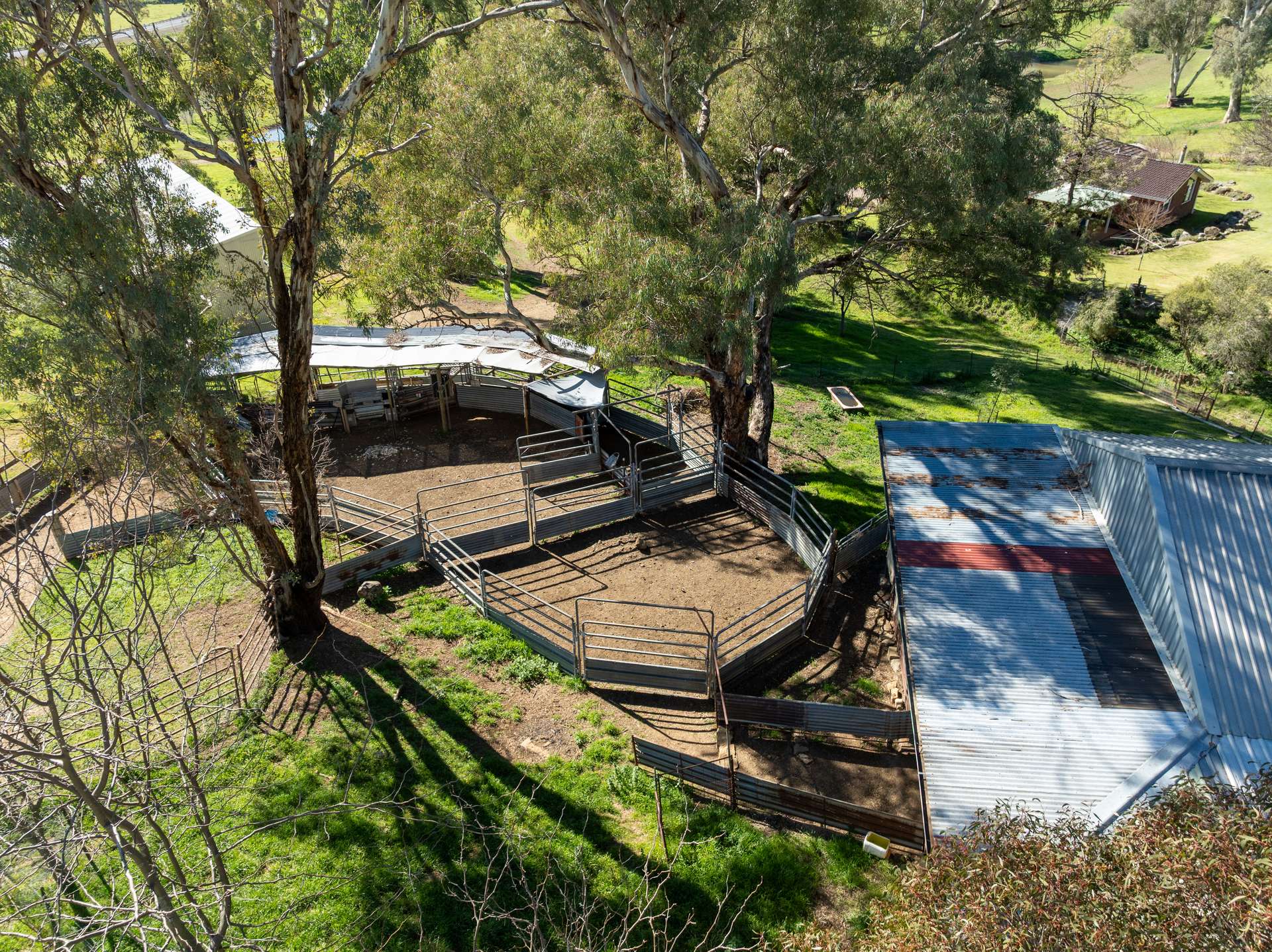 'Wahroonga' 2235 The Escort Way,, Orange Auction by Farmbuy.com - image 18