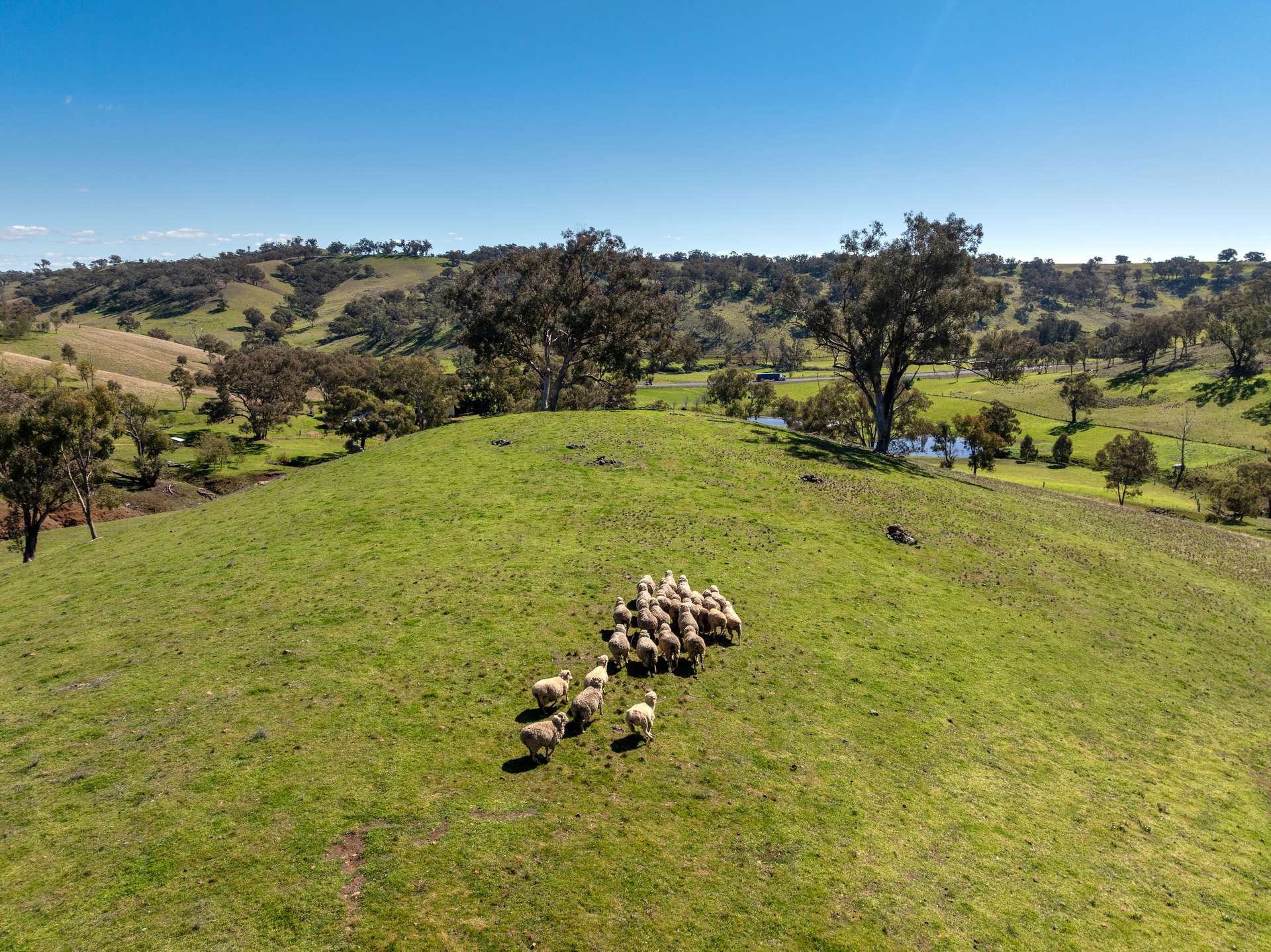 'Wahroonga' 2235 The Escort Way,, Orange Auction by Farmbuy.com - image 6
