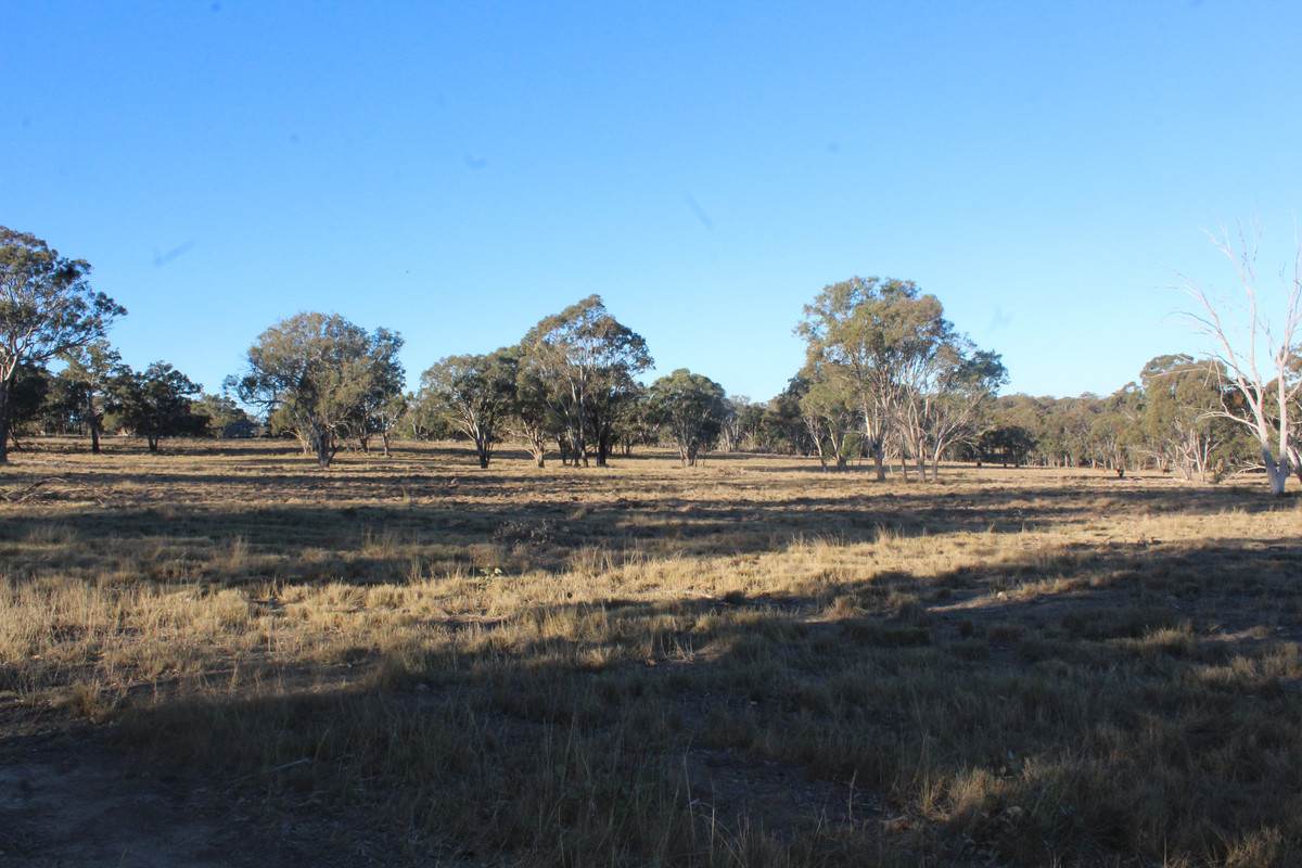 2087 Rabbit Fence Road, Passchendaele For Sale by Farmbuy.com - image 31