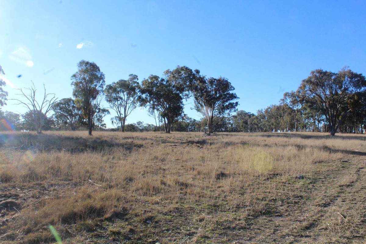 2087 Rabbit Fence Road, Passchendaele For Sale by Farmbuy.com - image 20