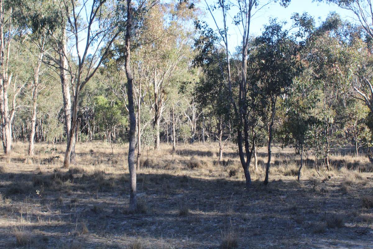 2087 Rabbit Fence Road, Passchendaele For Sale by Farmbuy.com - image 35