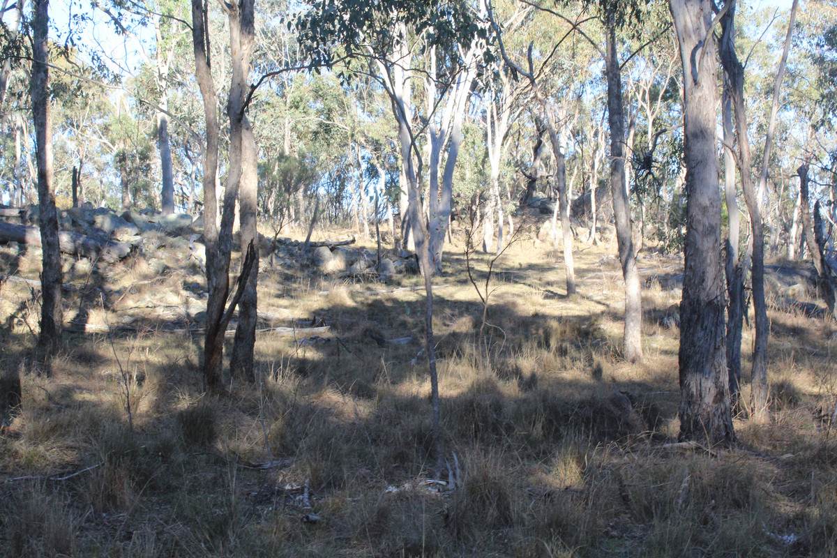 2087 Rabbit Fence Road, Passchendaele For Sale by Farmbuy.com - image 27