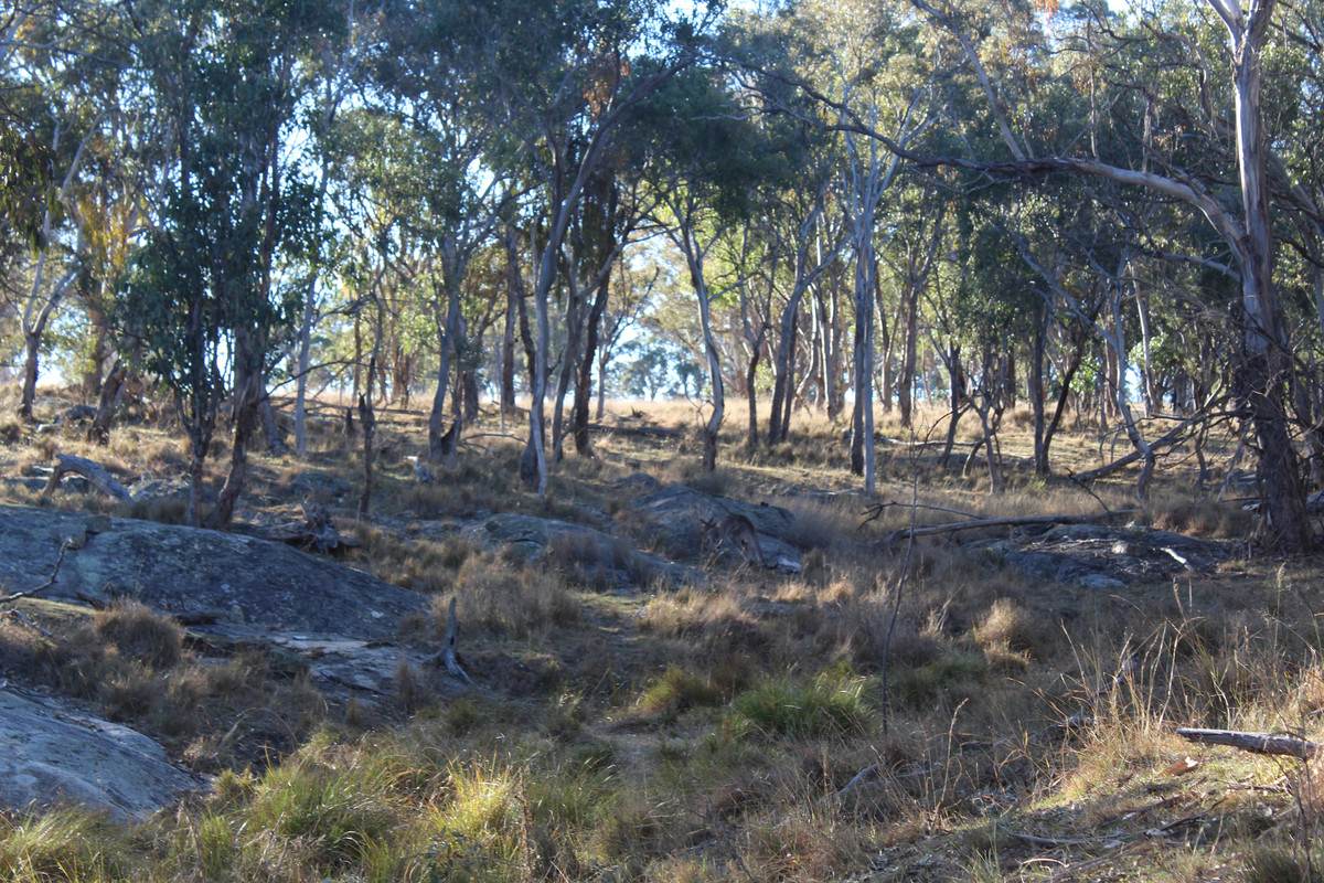 2087 Rabbit Fence Road, Passchendaele For Sale by Farmbuy.com - image 26