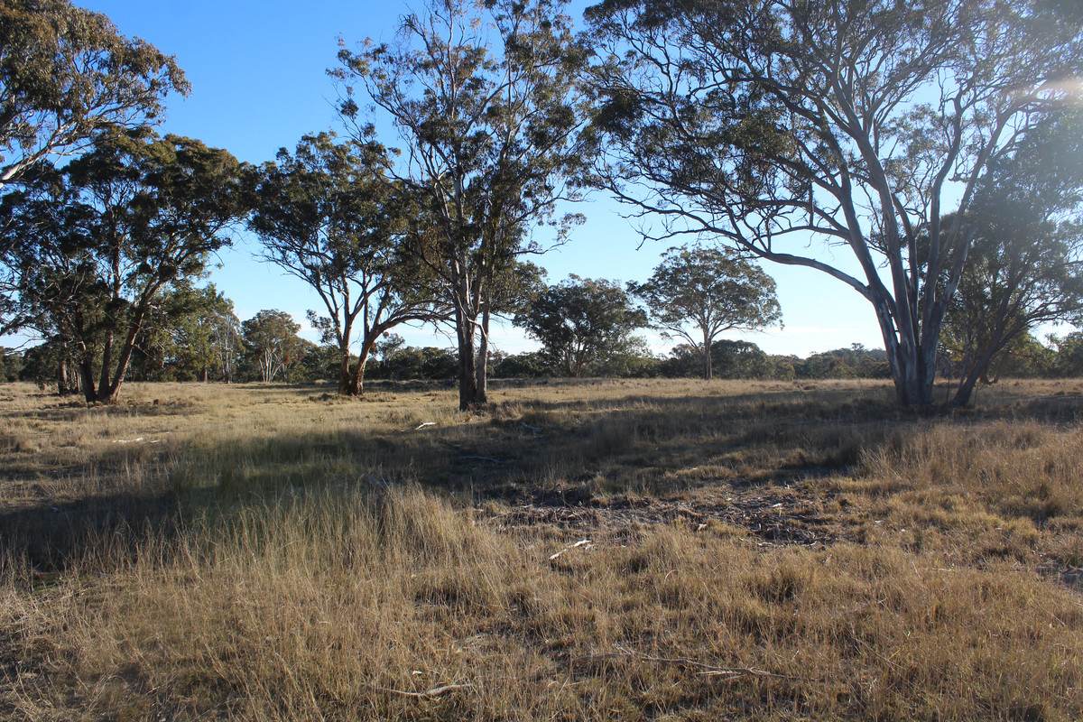 2087 Rabbit Fence Road, Passchendaele For Sale by Farmbuy.com - image 18