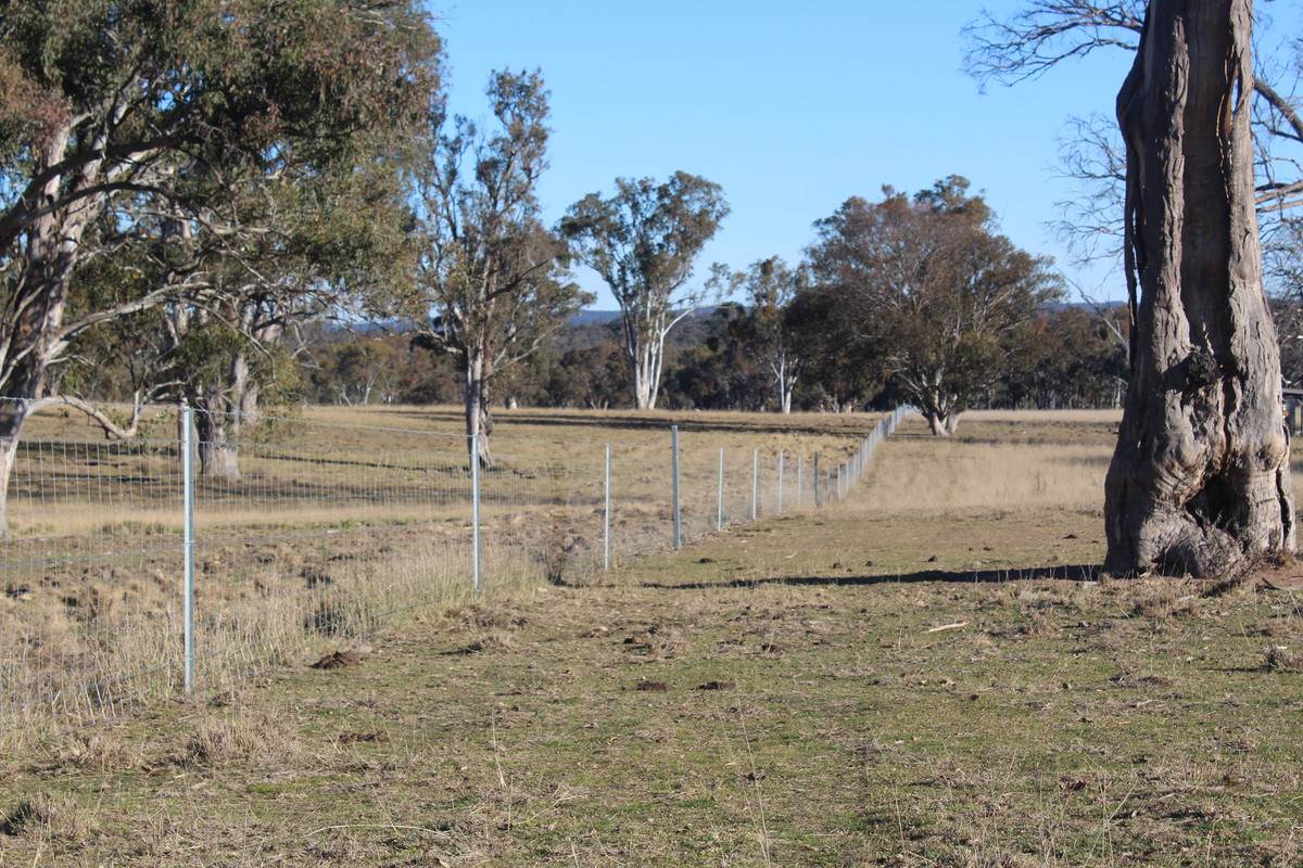 2087 Rabbit Fence Road, Passchendaele For Sale by Farmbuy.com - image 17