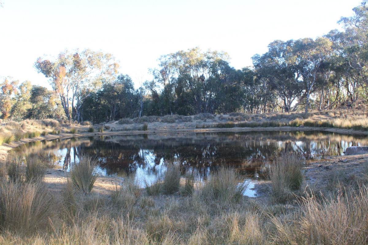 2087 Rabbit Fence Road, Passchendaele For Sale by Farmbuy.com - image 29