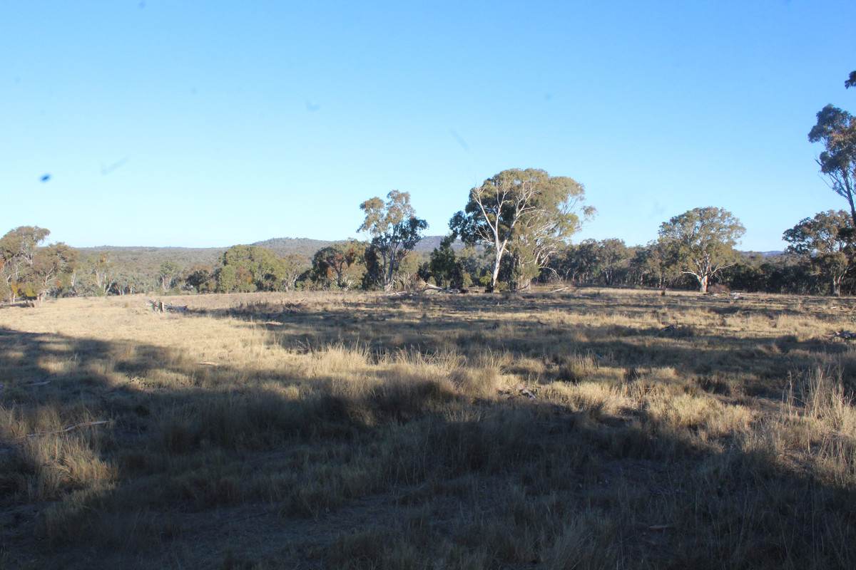2087 Rabbit Fence Road, Passchendaele For Sale by Farmbuy.com - image 1