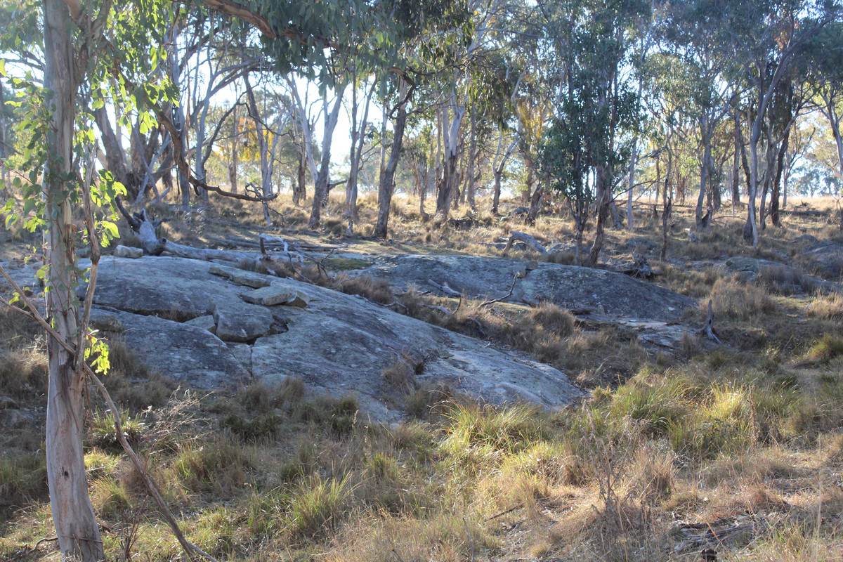 2087 Rabbit Fence Road, Passchendaele For Sale by Farmbuy.com - image 25