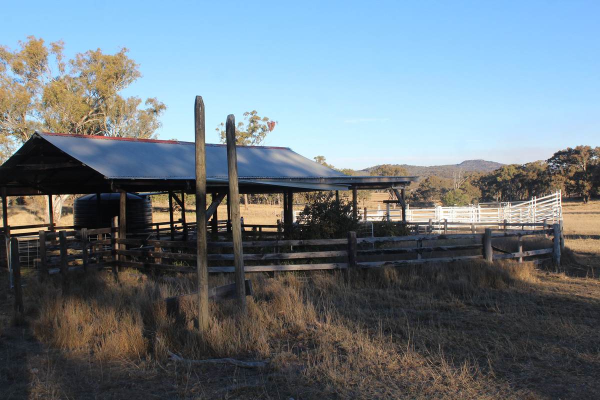 2087 Rabbit Fence Road, Passchendaele For Sale by Farmbuy.com - image 33
